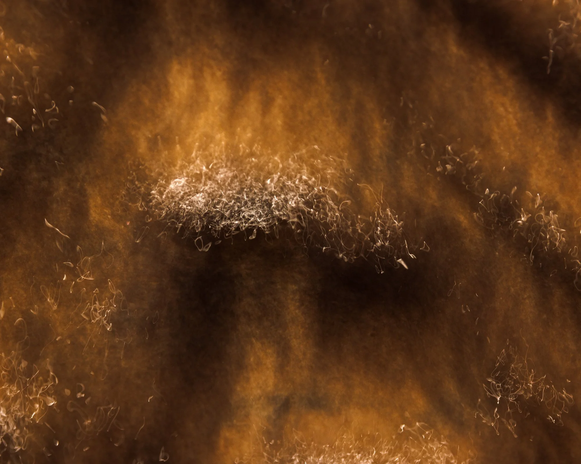 Close-up of a stream, showing reflecting ripples with warm lighting.