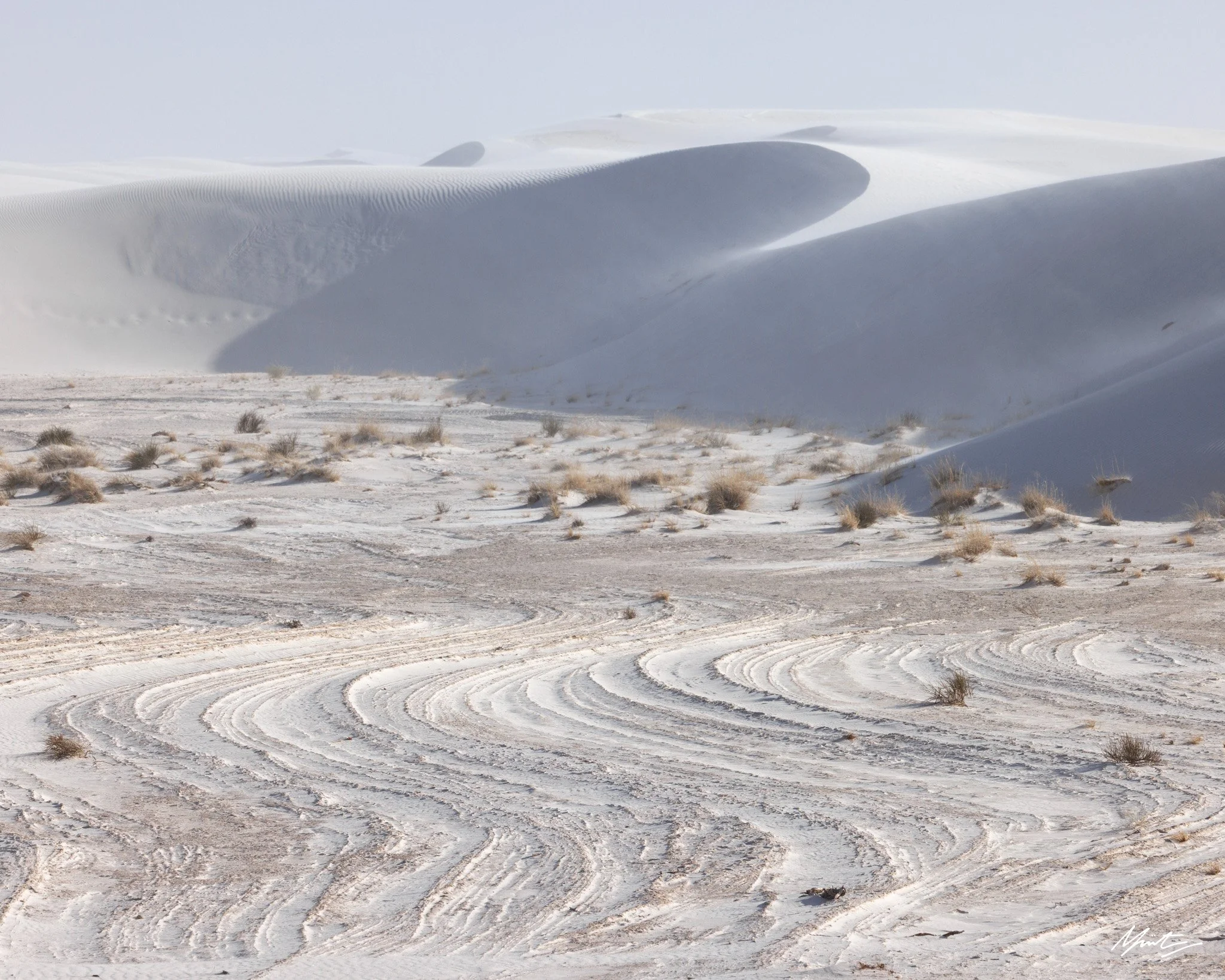 260228_Dunes-10.jpg