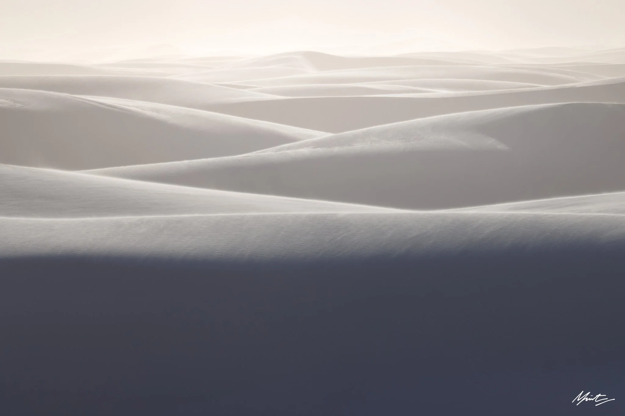 260228_Dunes-24.jpg