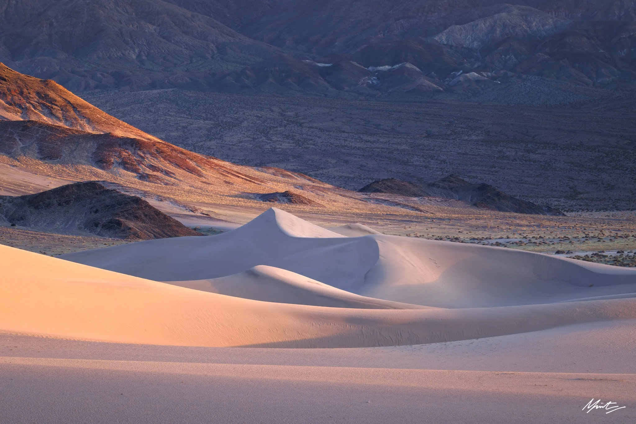 260228_Dunes-35.jpg