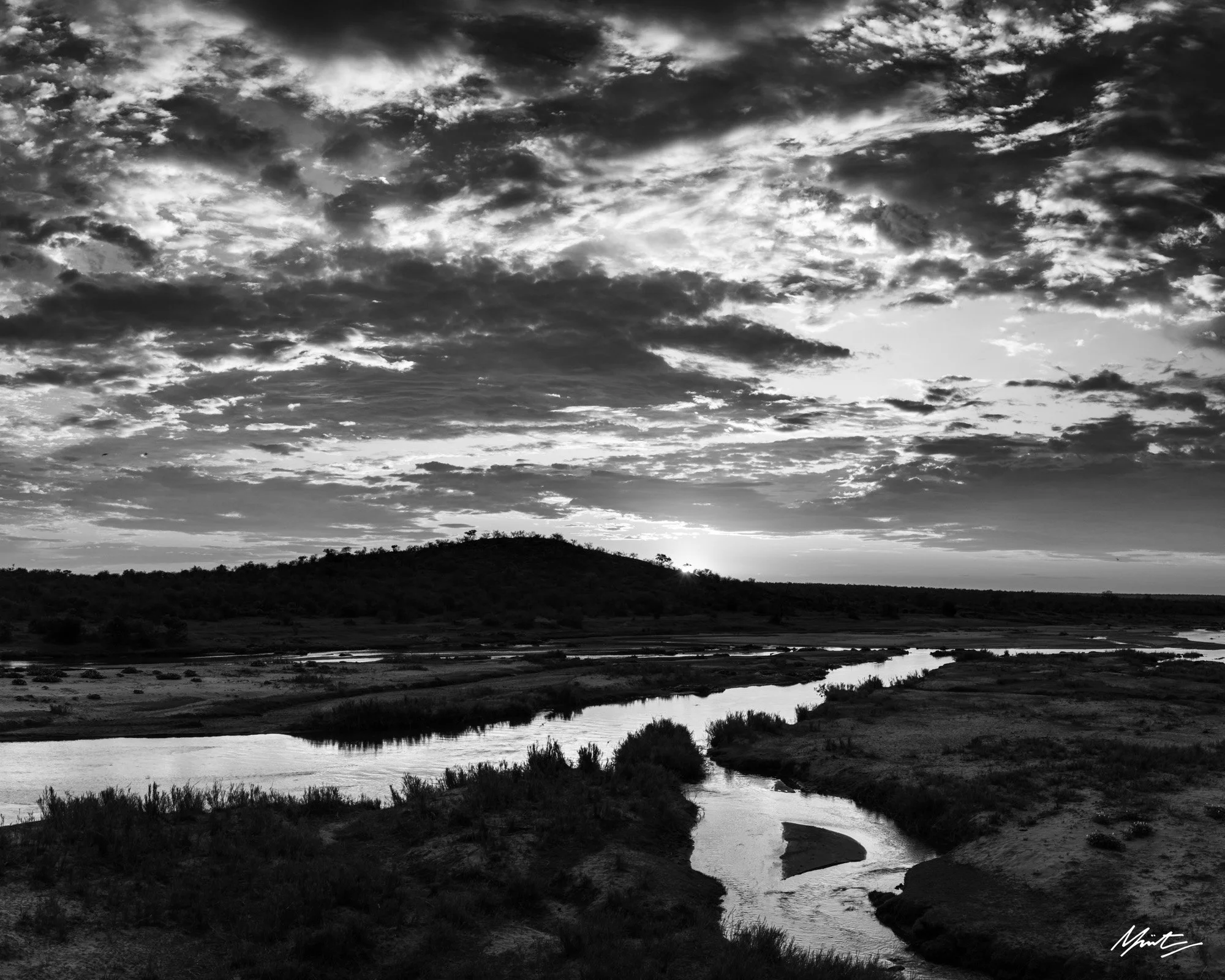 231121_northern kruger.jpg