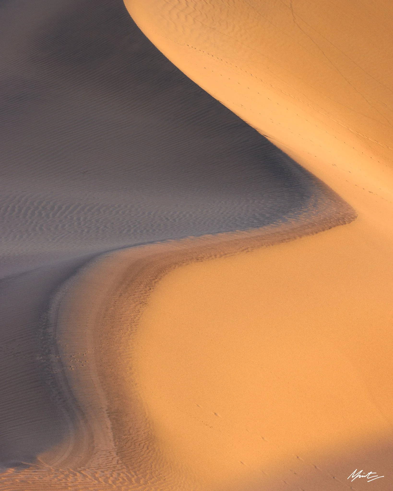 260228_Dunes-34.jpg