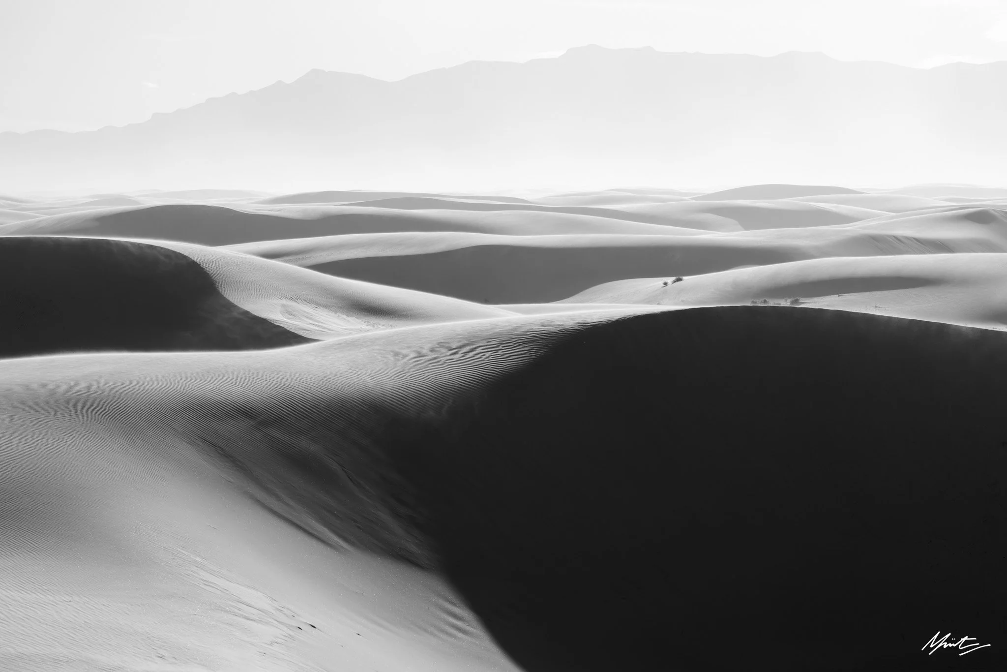 260228_Dunes-18.jpg