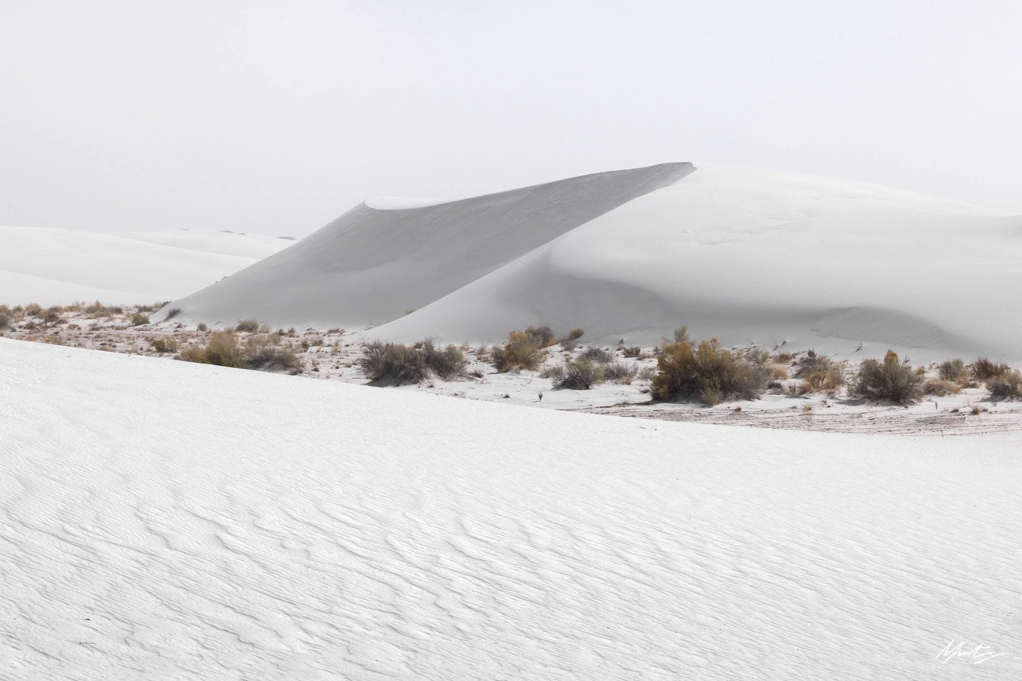260228_Dunes-8.jpg