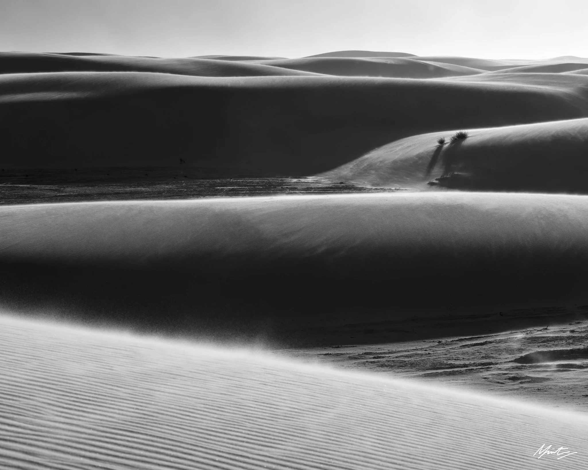 260228_Dunes-17.jpg