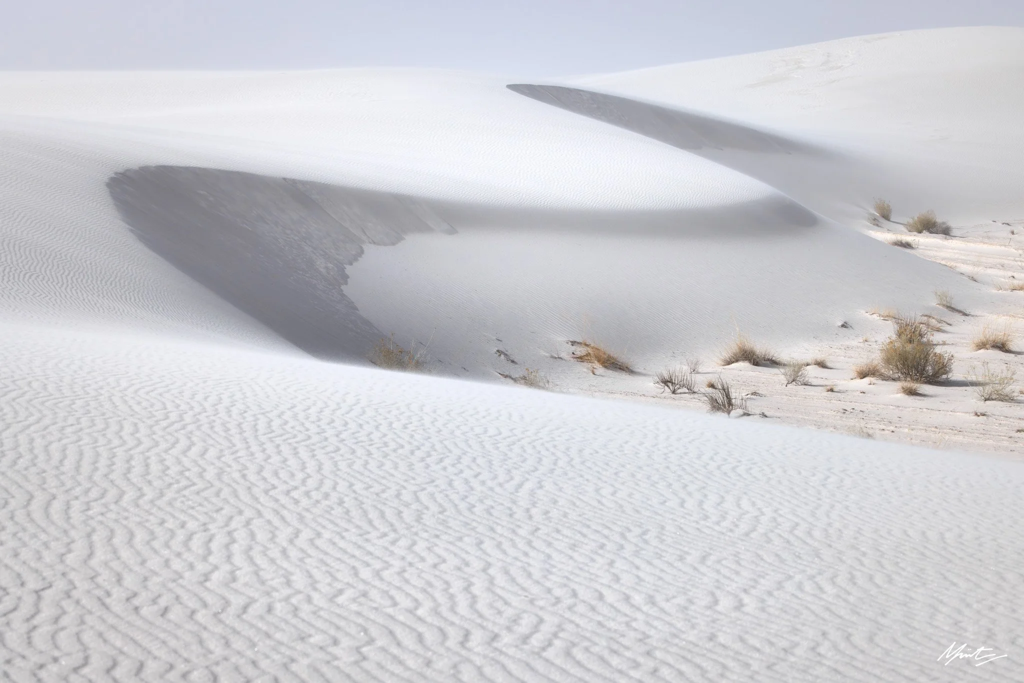 260228_Dunes-7.jpg