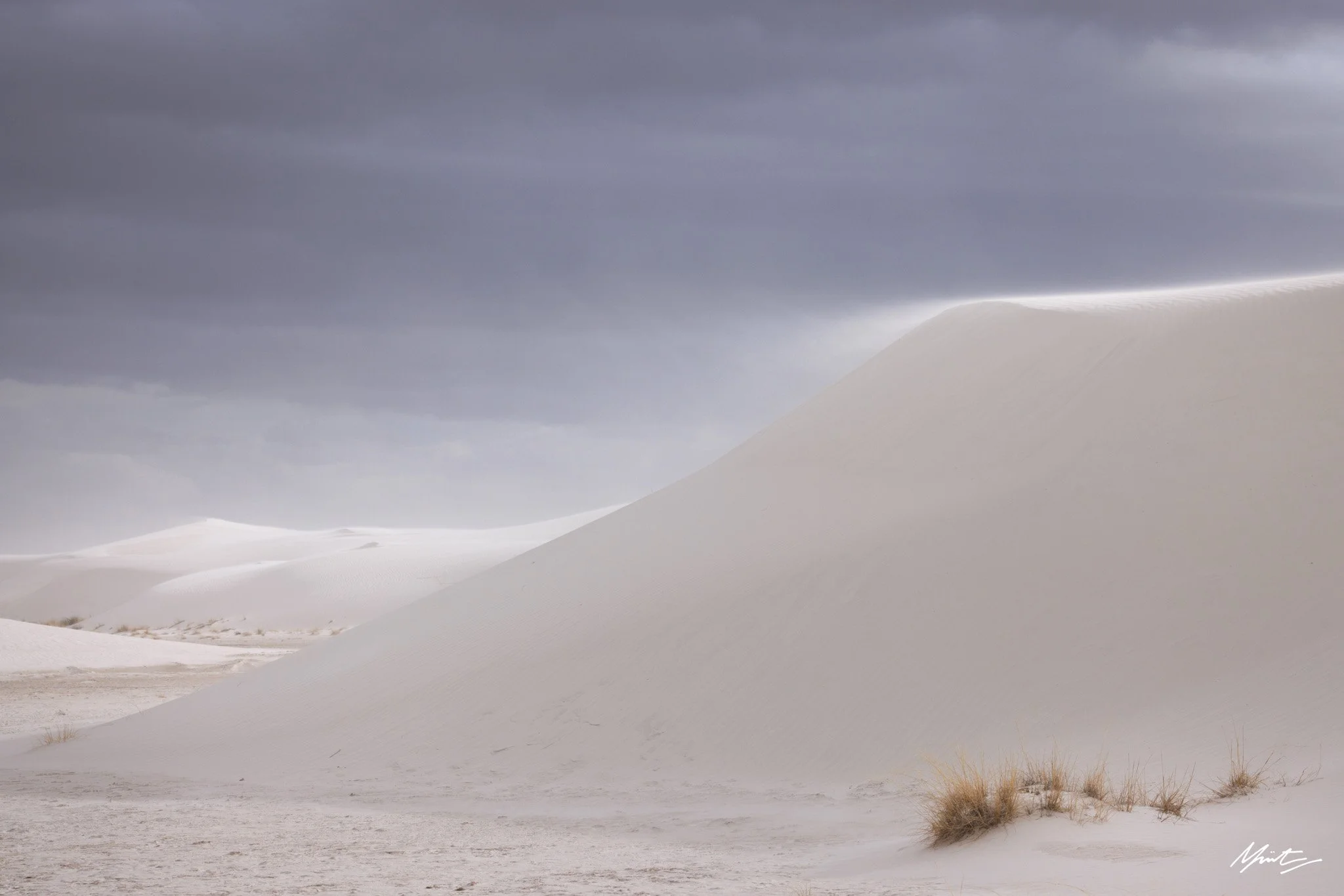 260228_Dunes-22.jpg