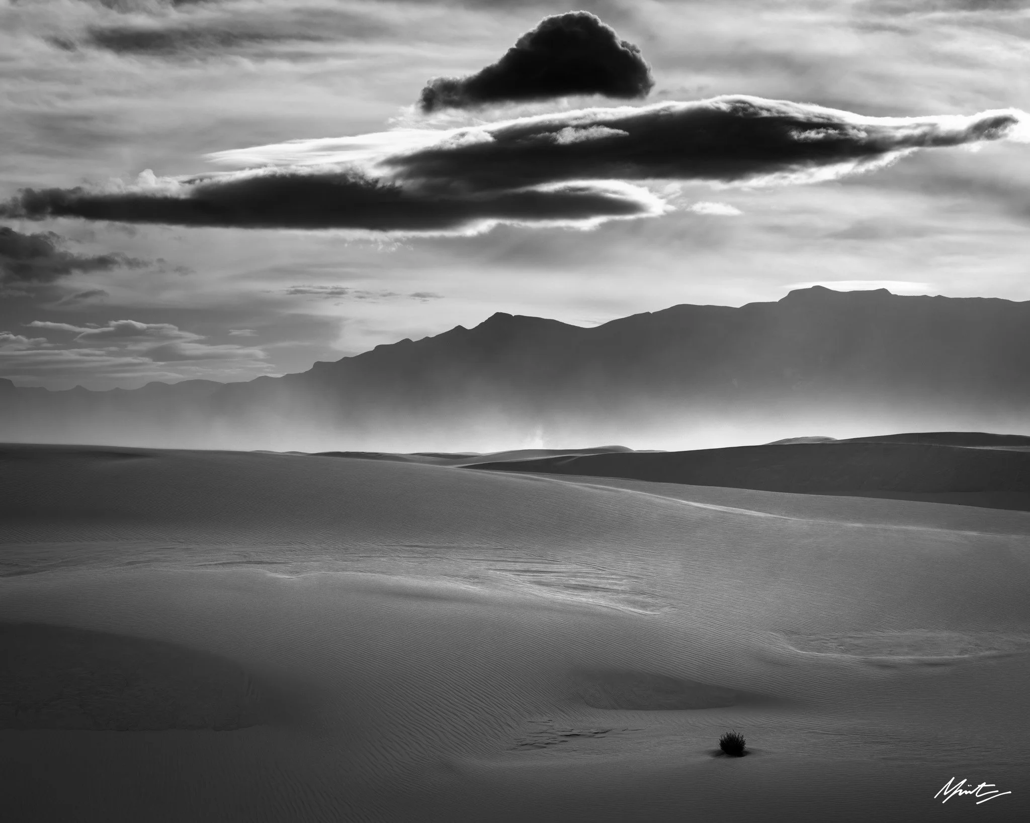 260228_Dunes-21.jpg