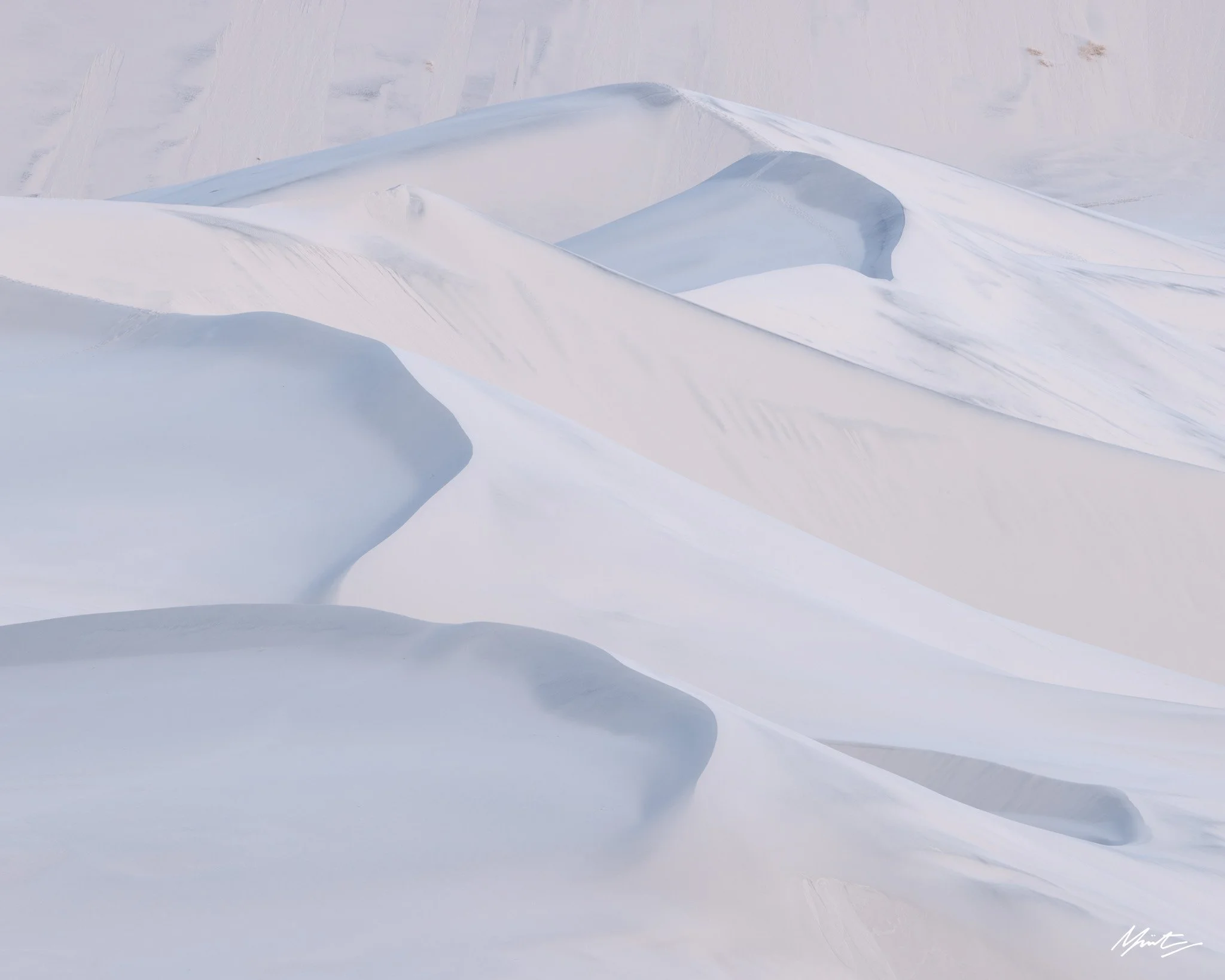 260228_Dunes-3.jpg