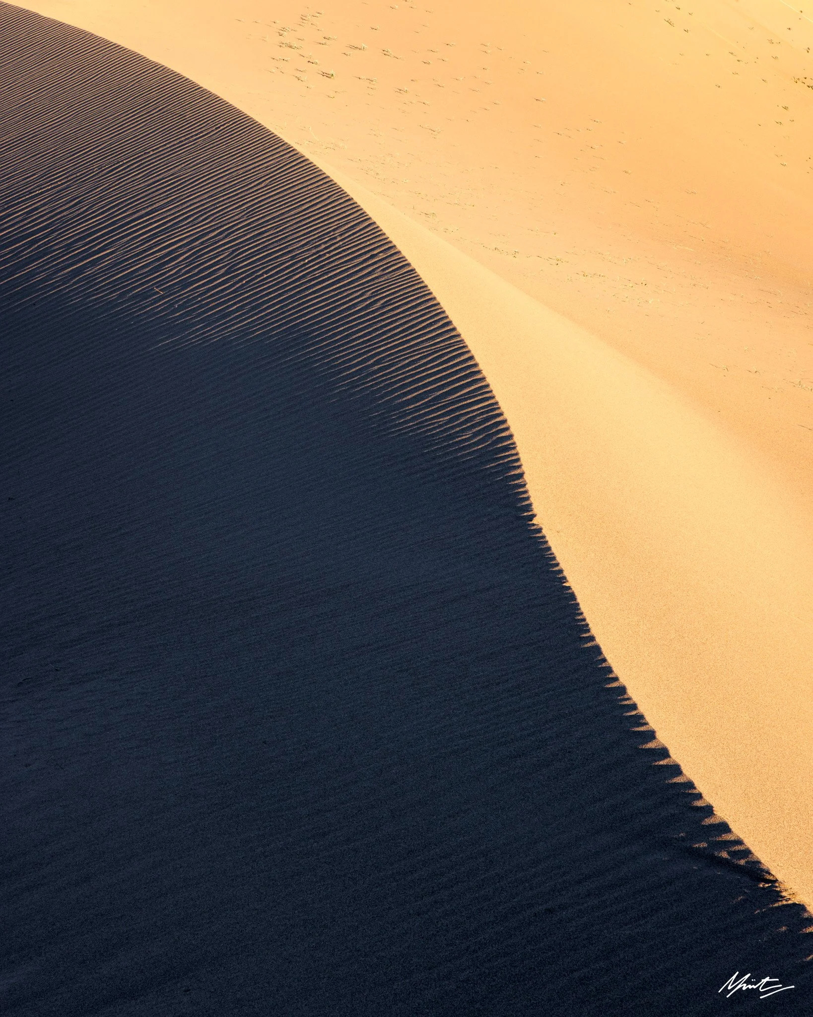 260228_Dunes-29.jpg
