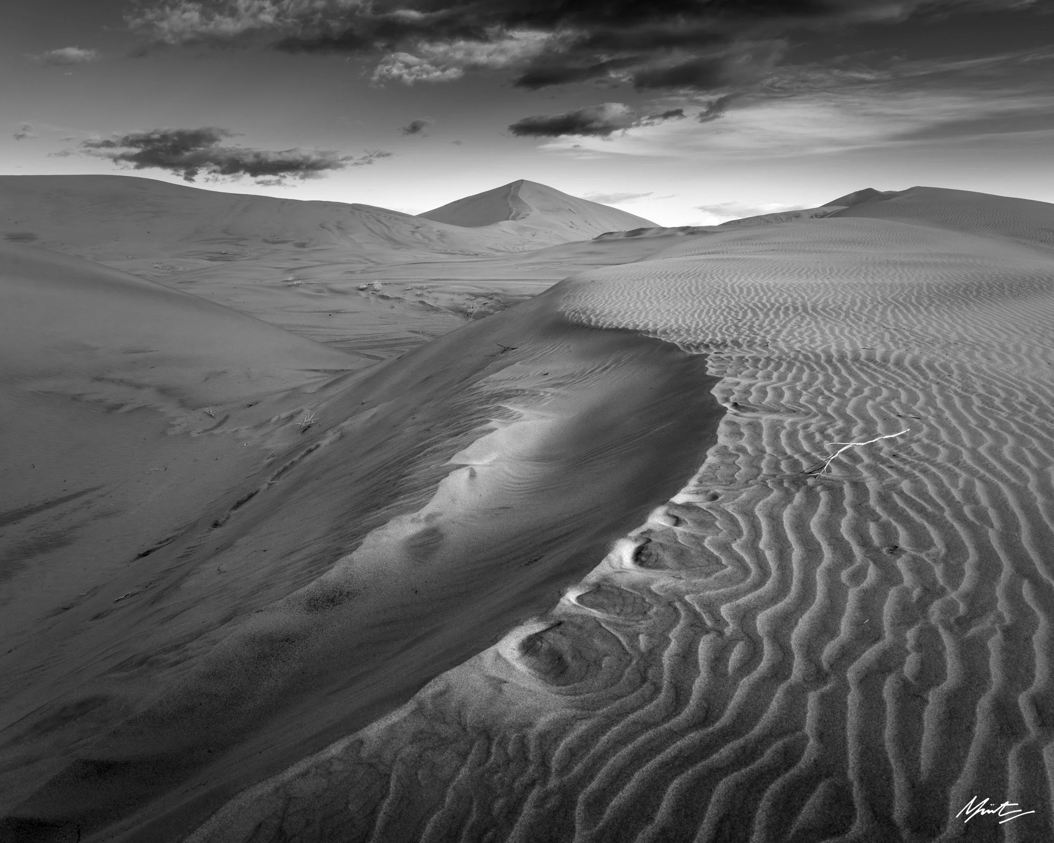 260228_Dunes-5.jpg
