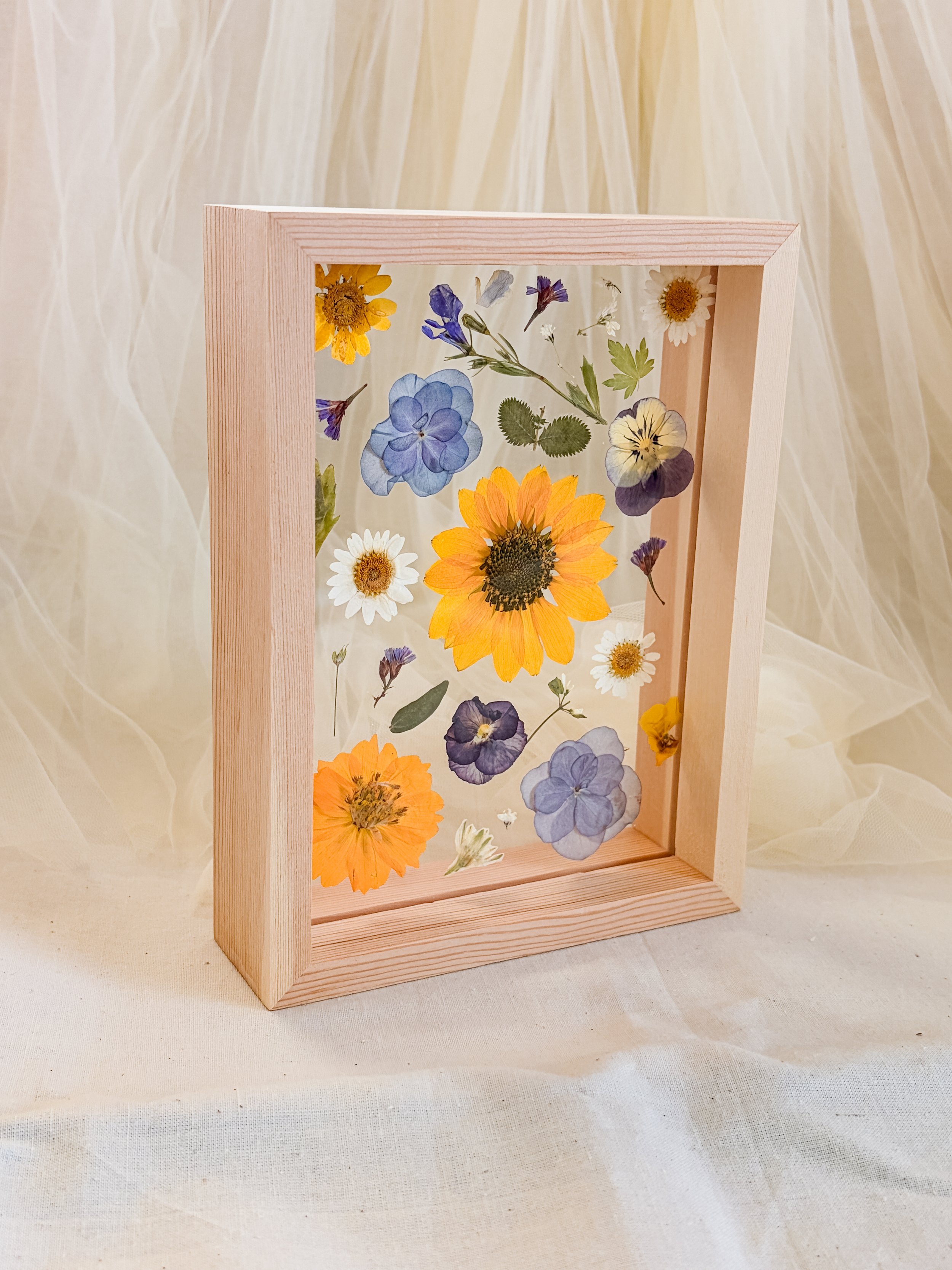 pressed sunflower in a frame.JPG