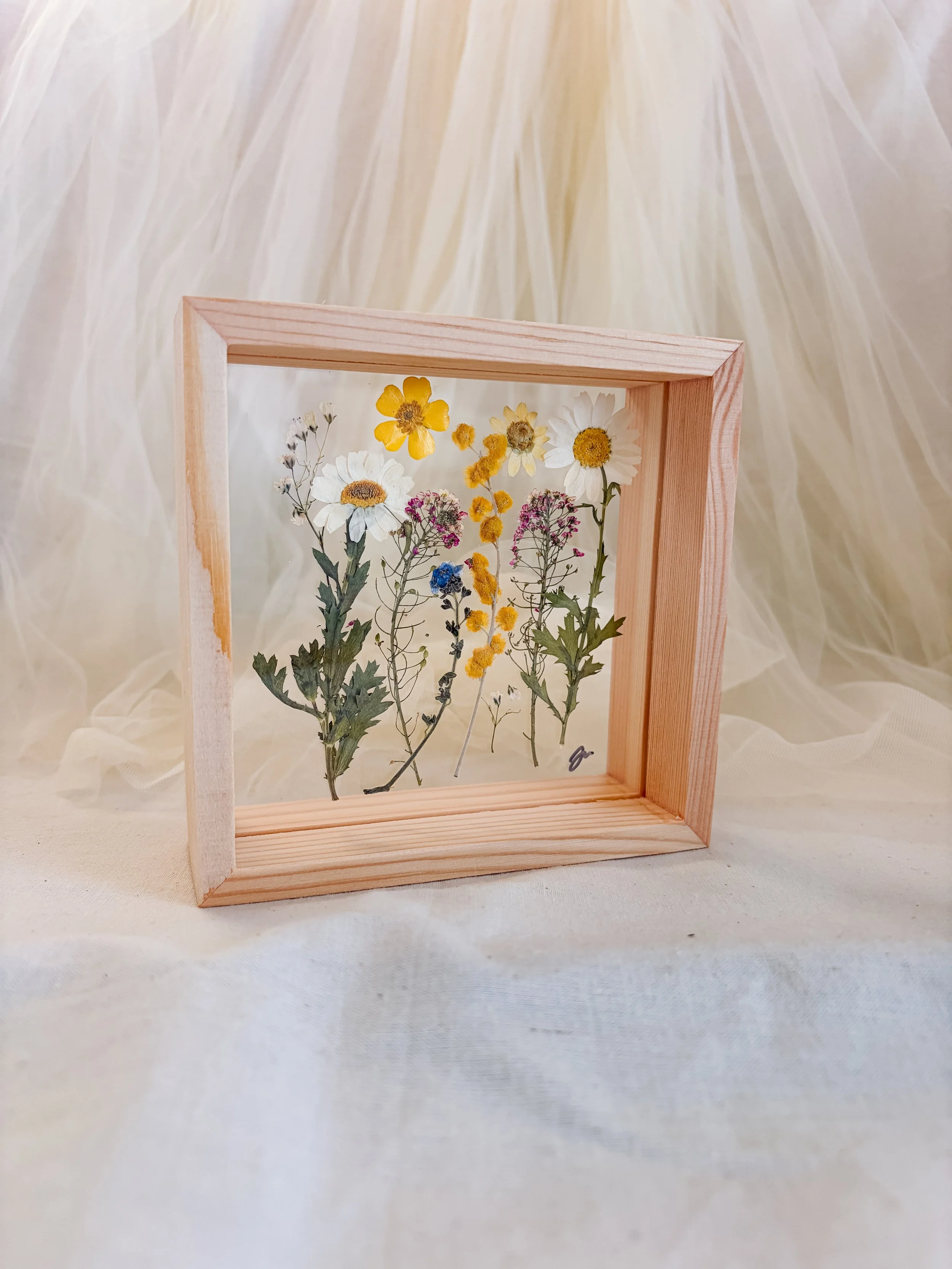 pressed daisies framed.JPG