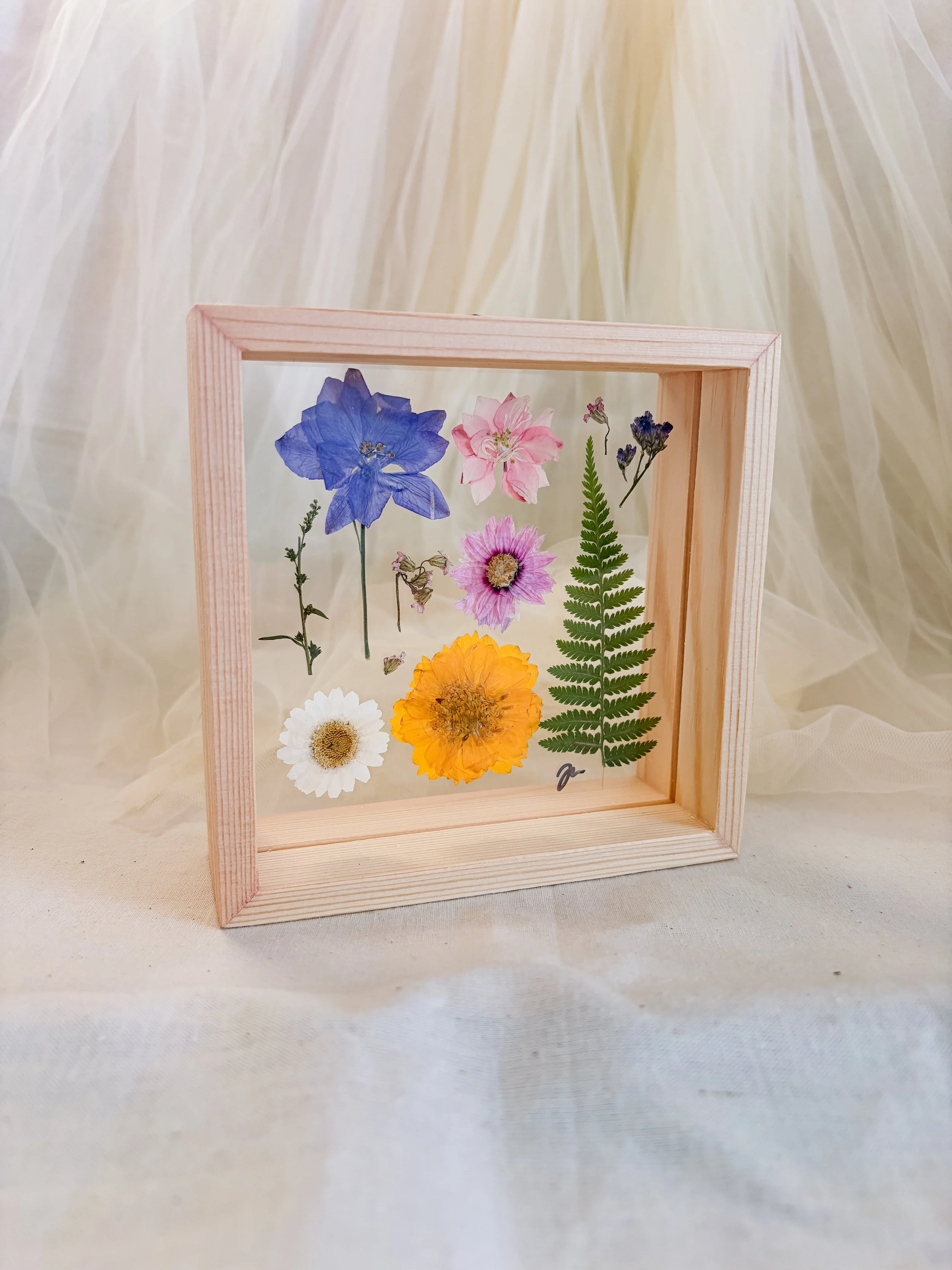 fern and cosmos pressed.JPG