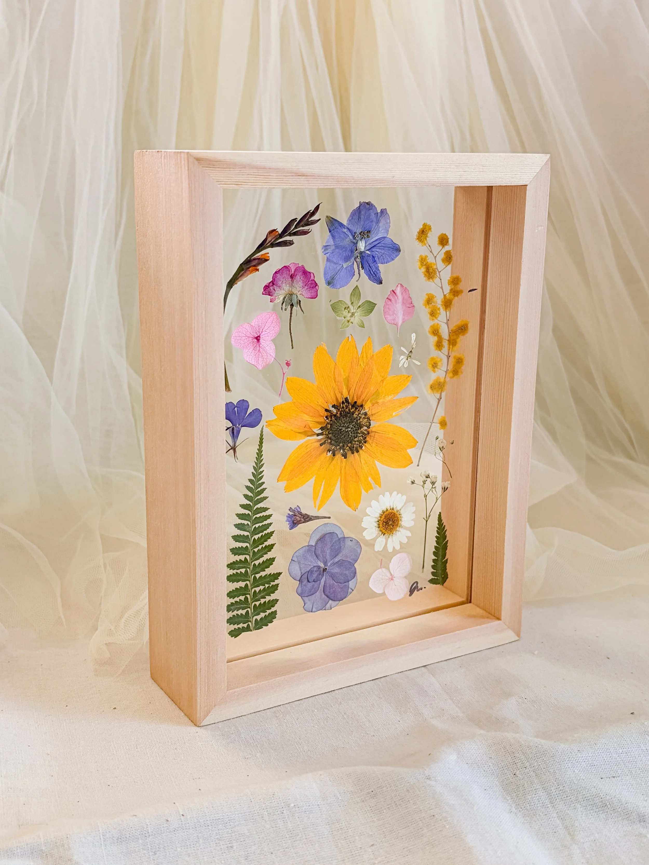 pressed sunflower framed.JPG
