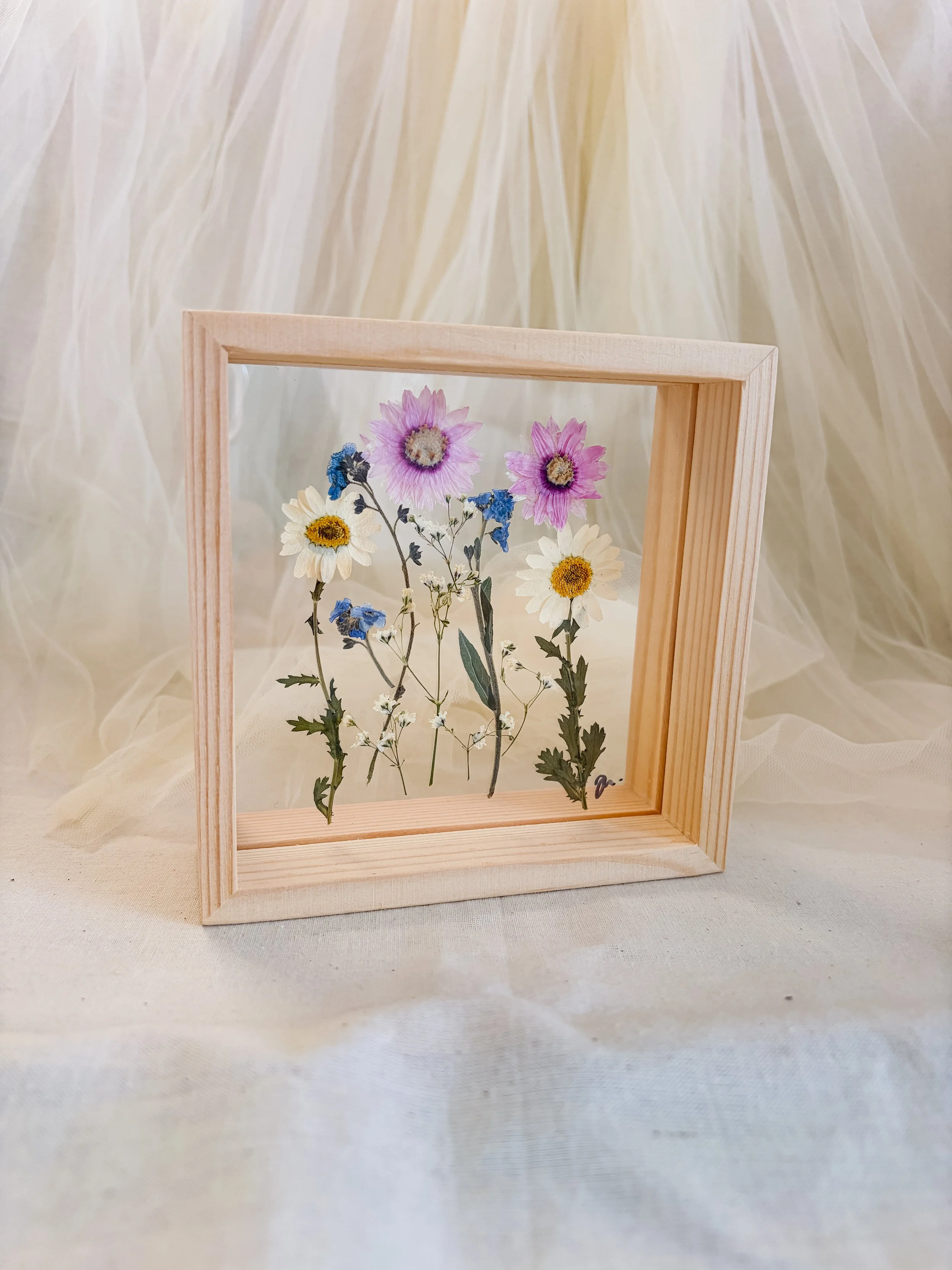 pressed forget me nots and daisies.JPG