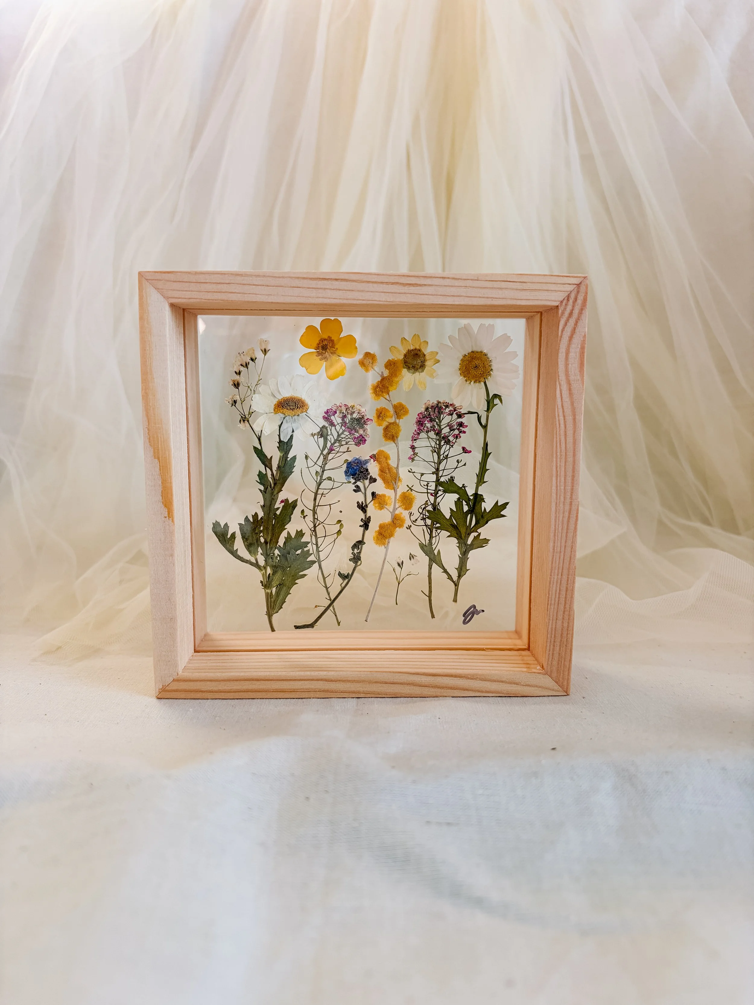 Pressed Florals No.1