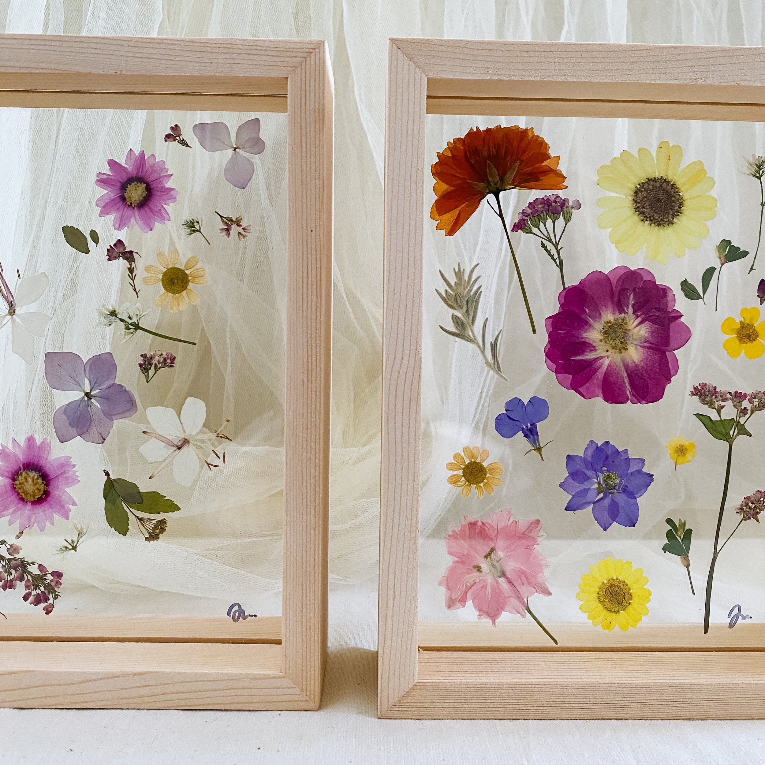 pressed-flower-frames-perth.jpg