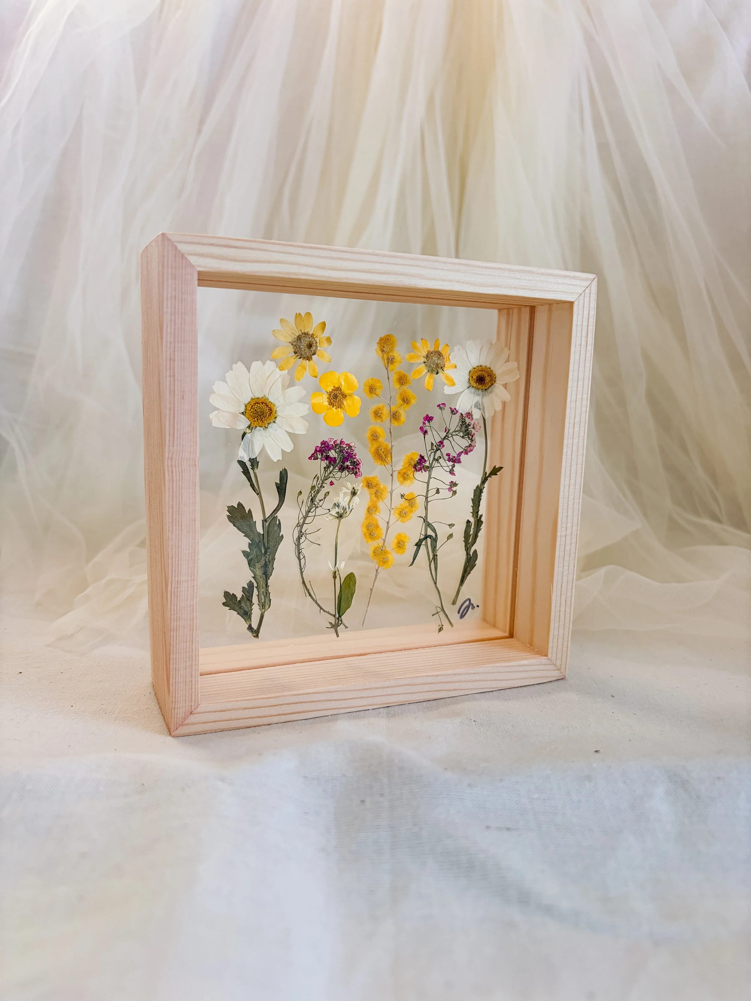 pressed white daisies framed.JPG