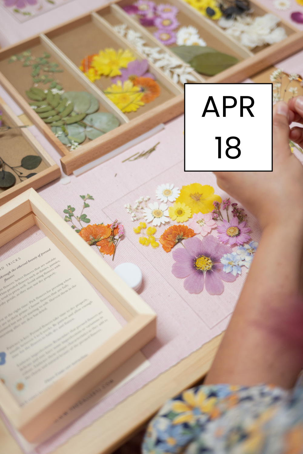 joanna-hiu-pressed-flower-workshp-perth.png