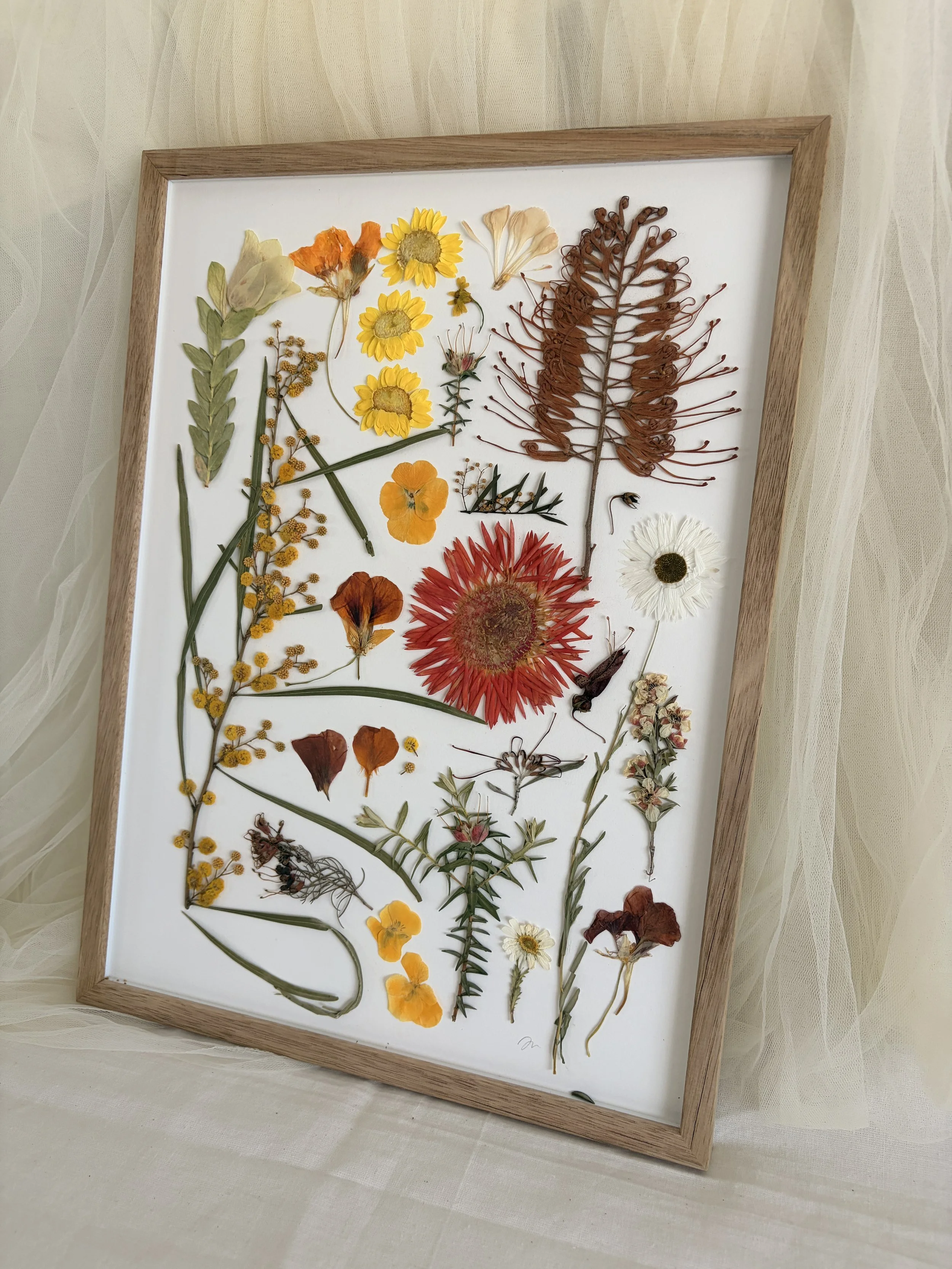 pressed-flowers-preserved-in-a-frame.JPG