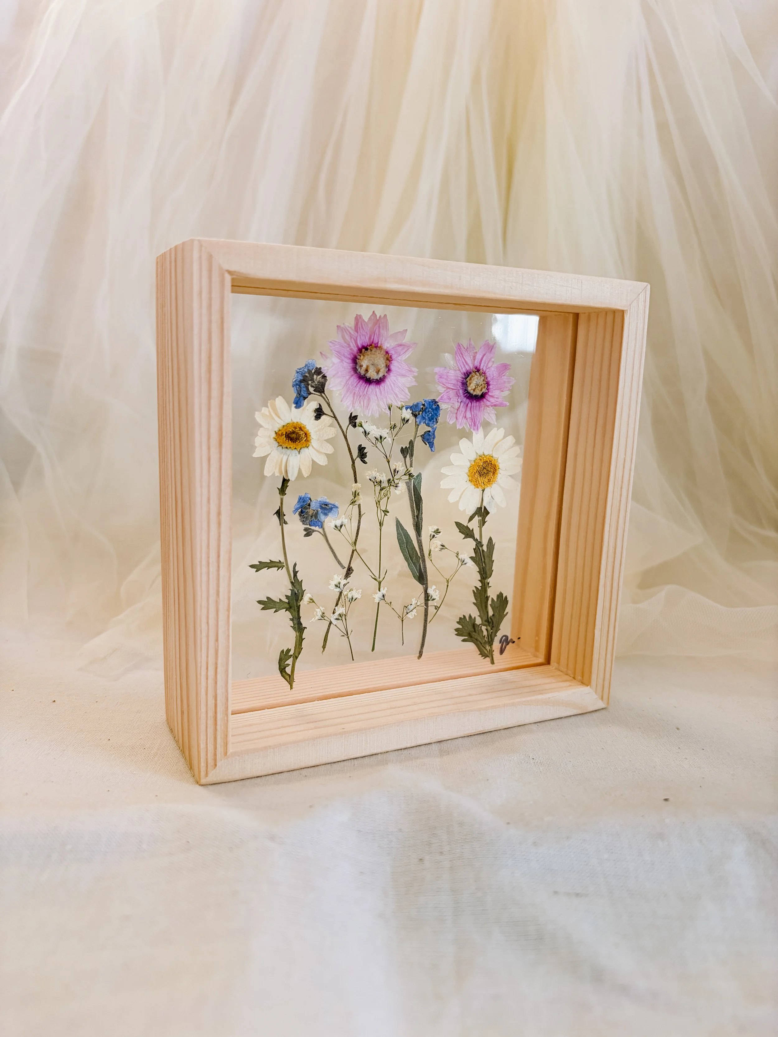 pressed everlastings.JPG