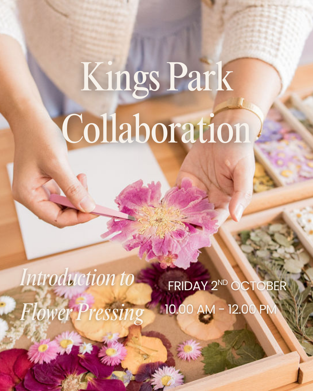 introduction to flower pressing kings park tile.png