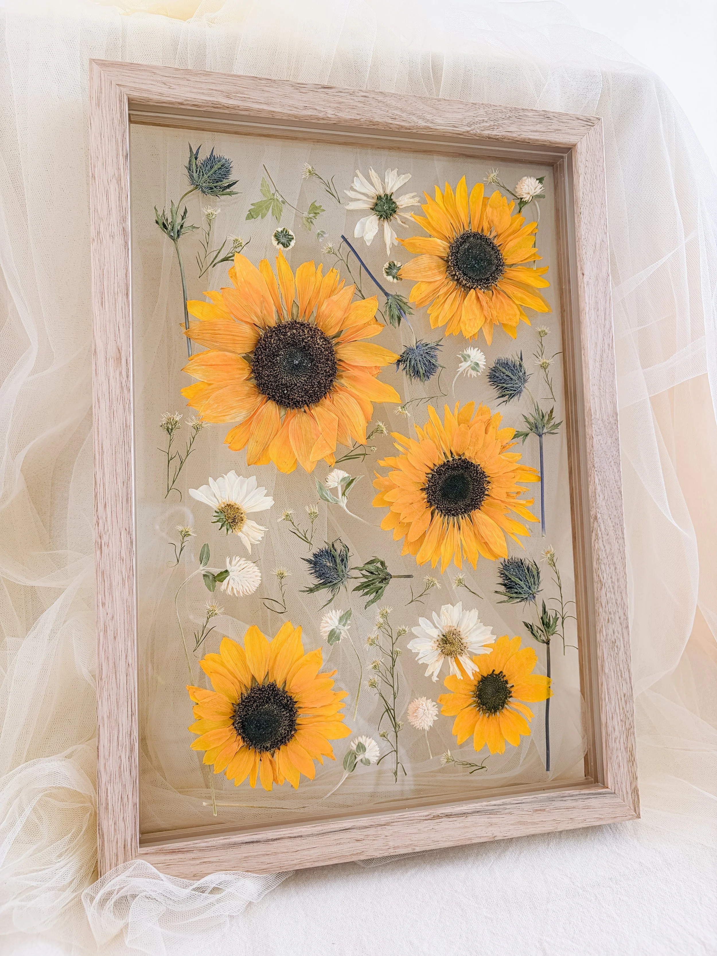 pressed sunflowers framed.JPG