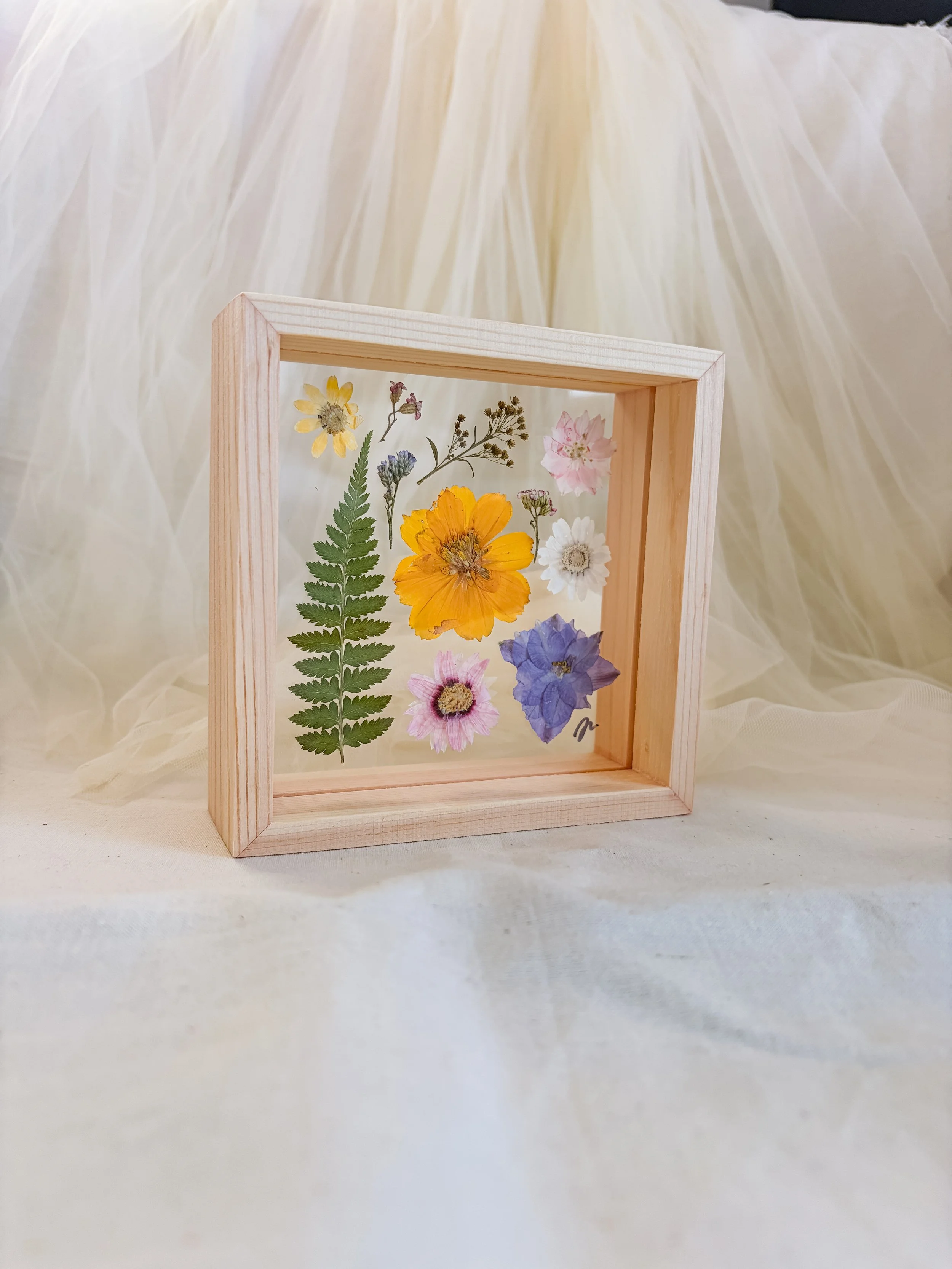 herbarium frame with cosmos fern and daisies.JPG