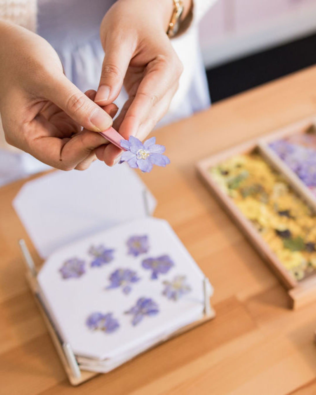 hands showing a pressed flower.png