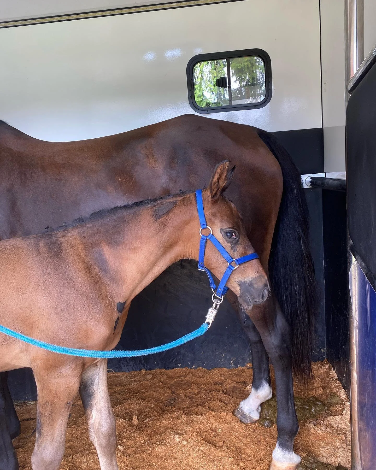 Trsp. 178 Inside.jpg