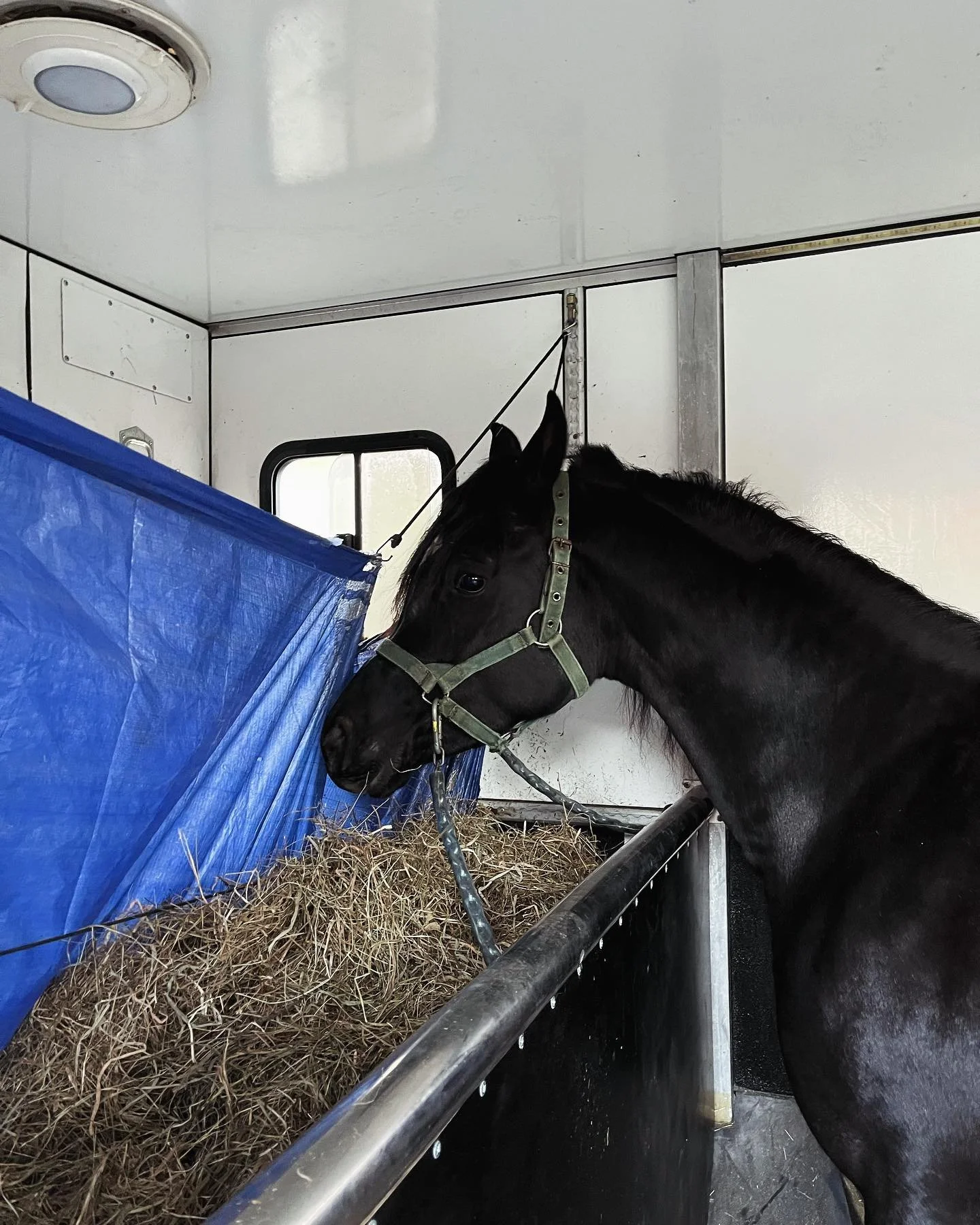 Trsp.178_Inside Van.jpg