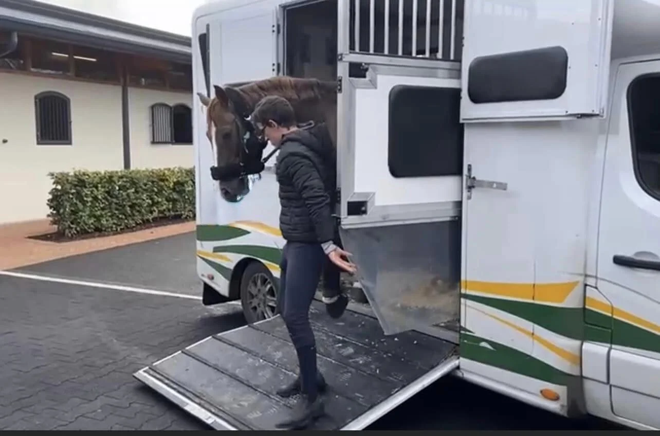 Transporter 976 Van Side.jpg