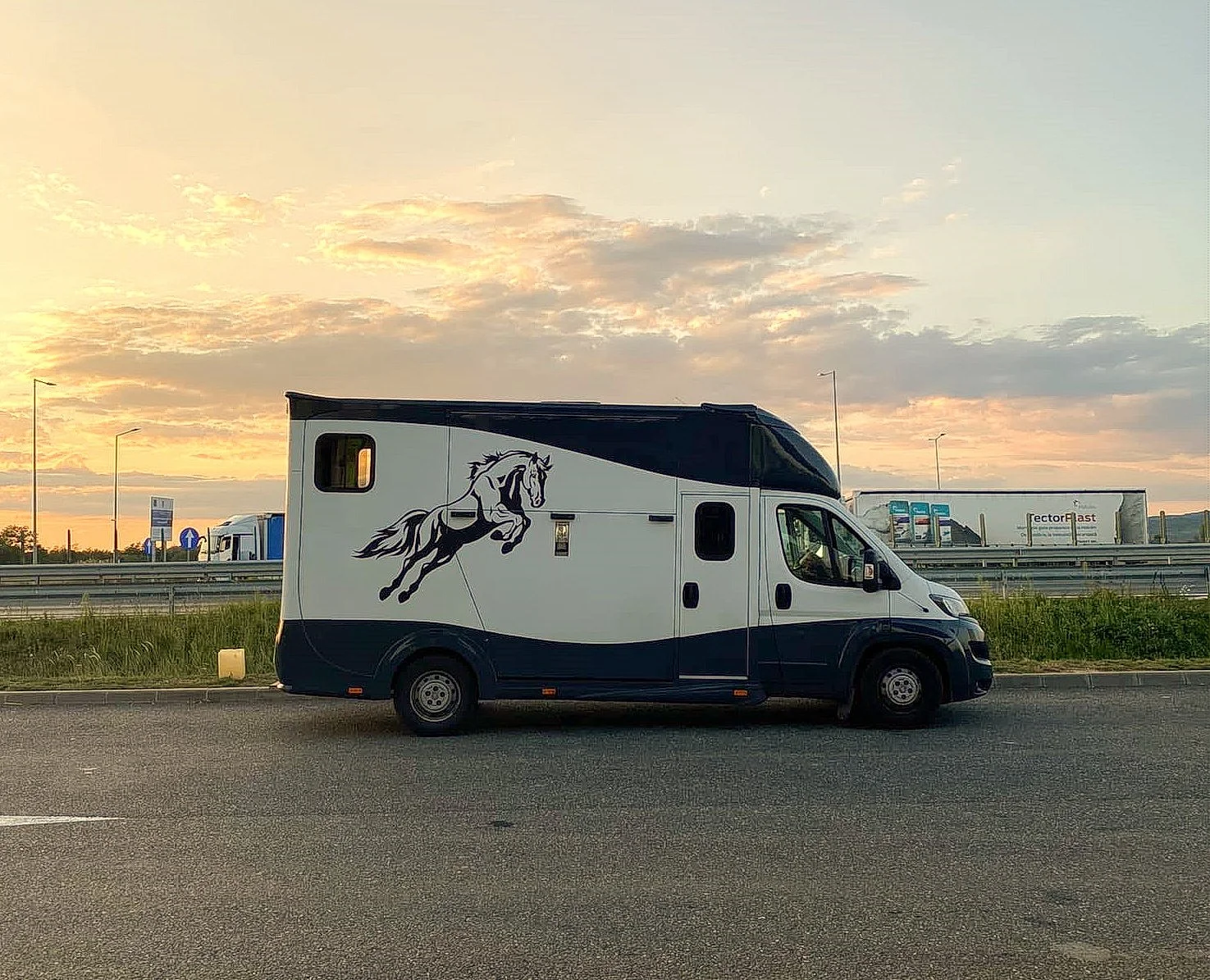 Transporter 178 Van 2 horse box.jpg