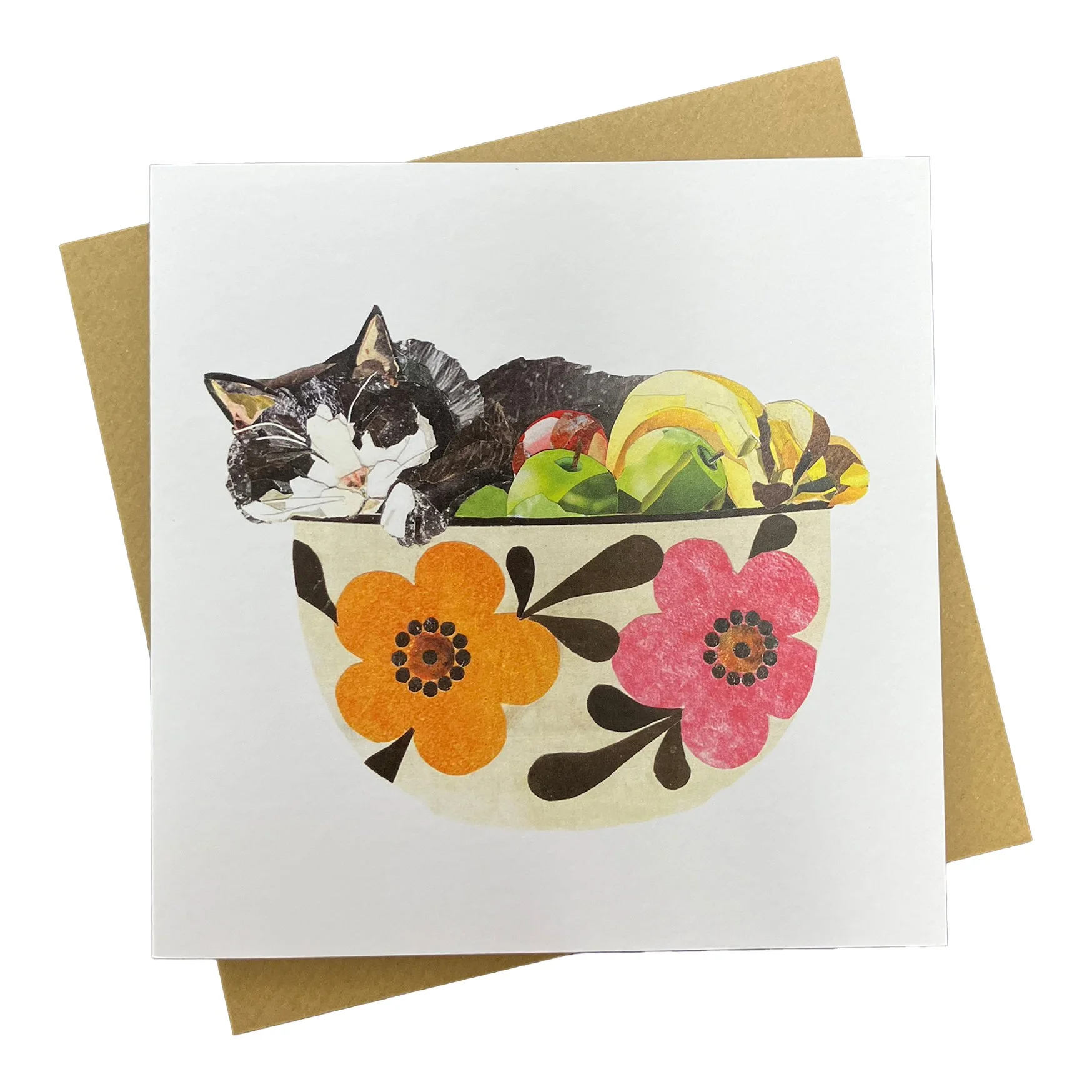 frootcatbowl.jpg