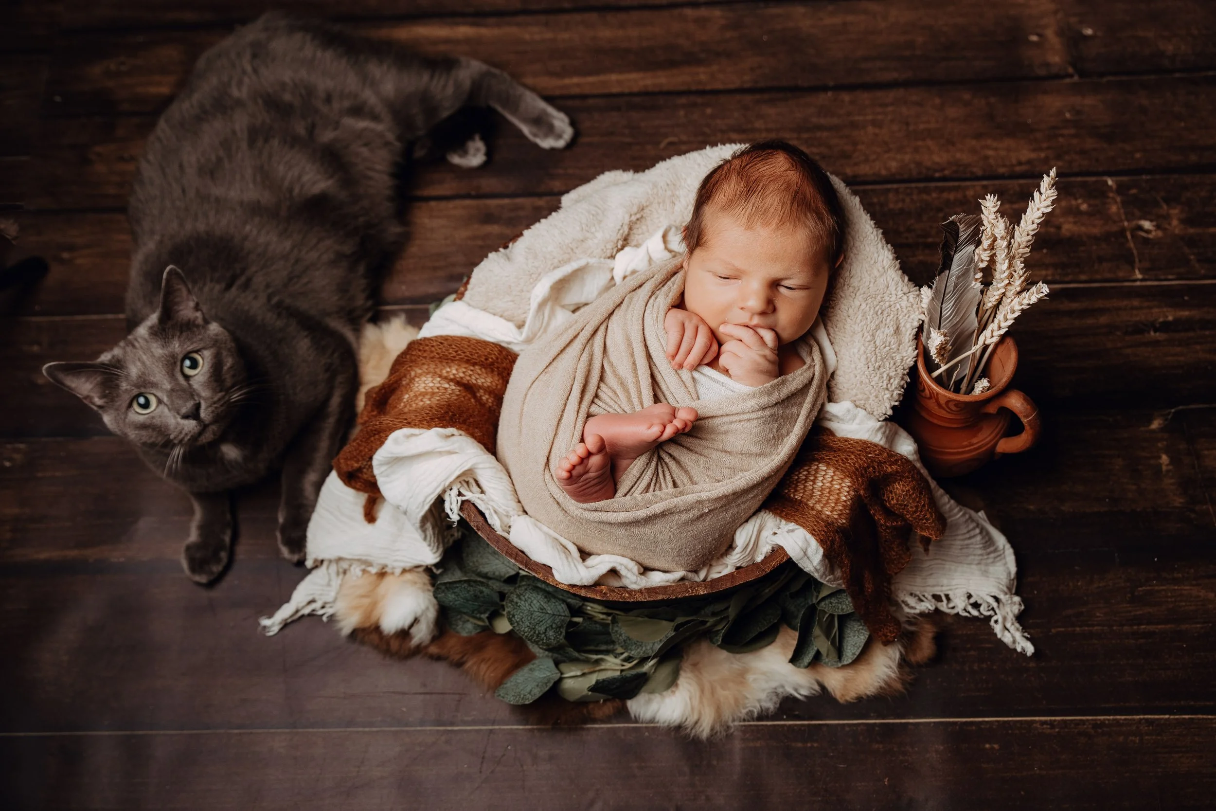 L'avantage du studio à domicile pour les photos de naissance, c'est de photographier aussi vos animaux, chat, chien, avec bébé. Photographe naissance à toulouse
