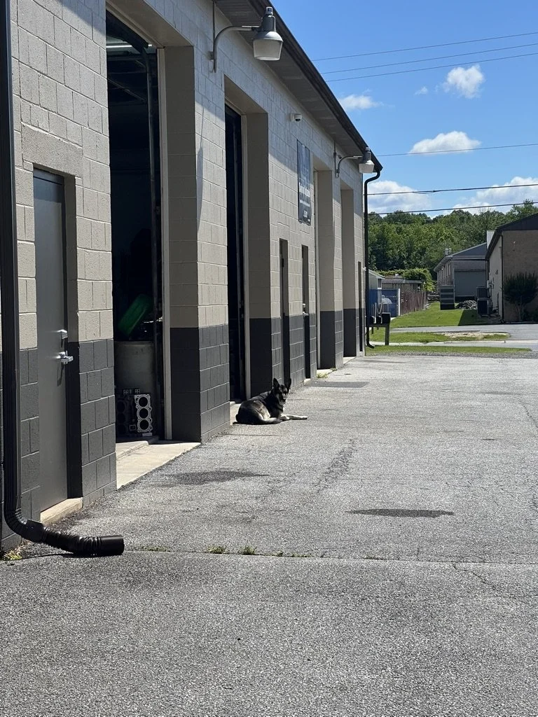 Main shop exterior.jpeg