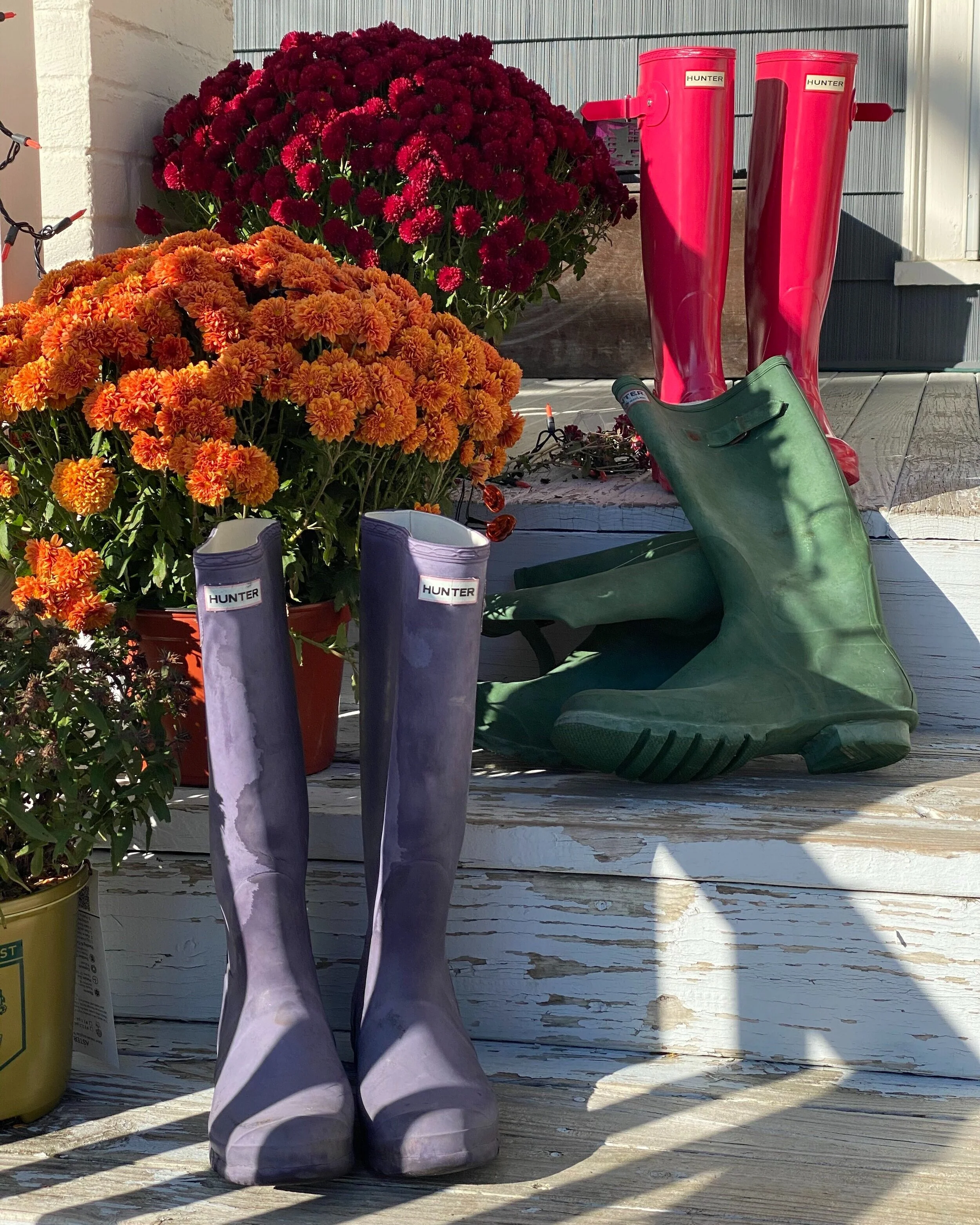 My “Wellies” Rain Boots