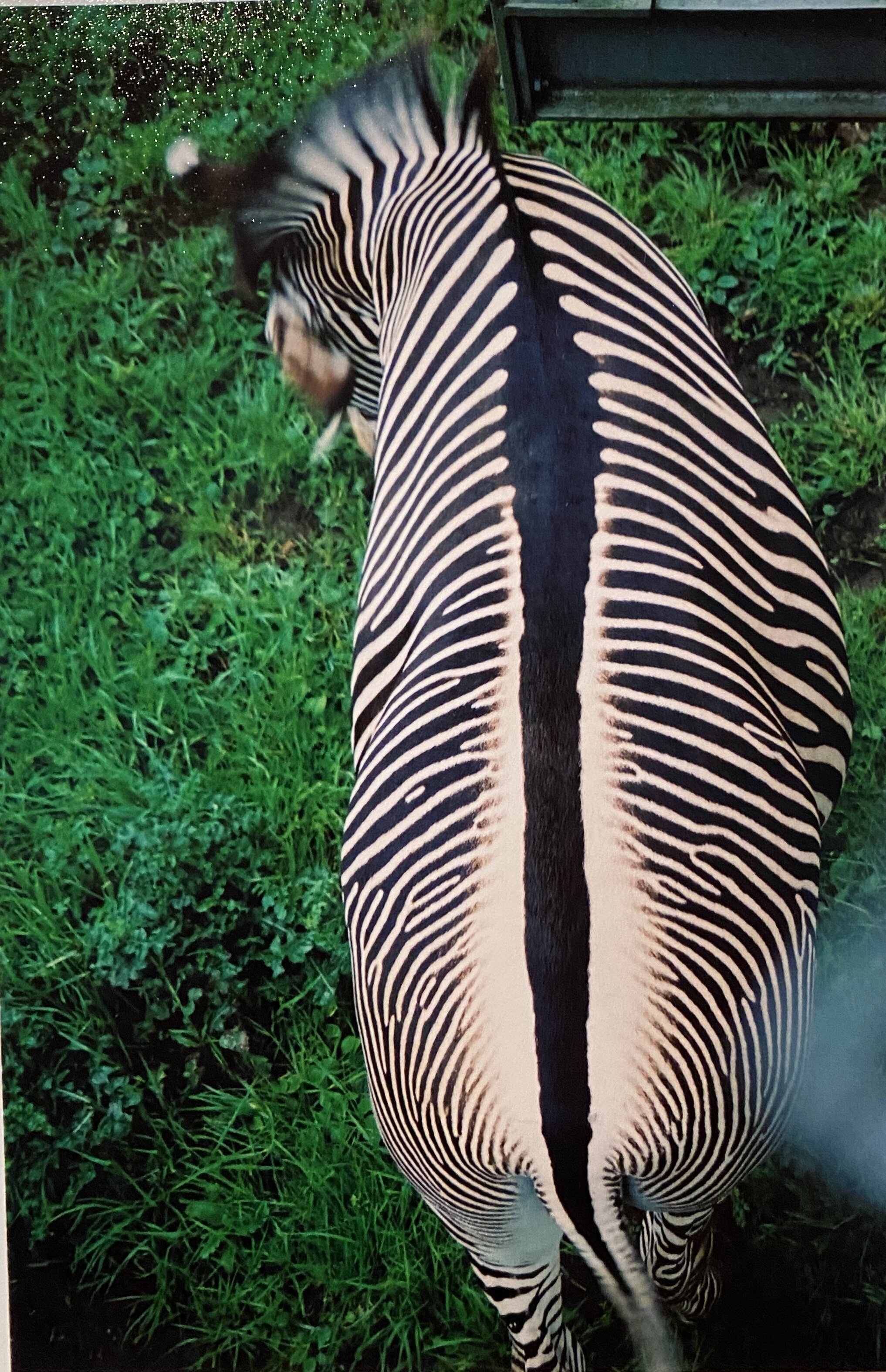 Powerful Patterns