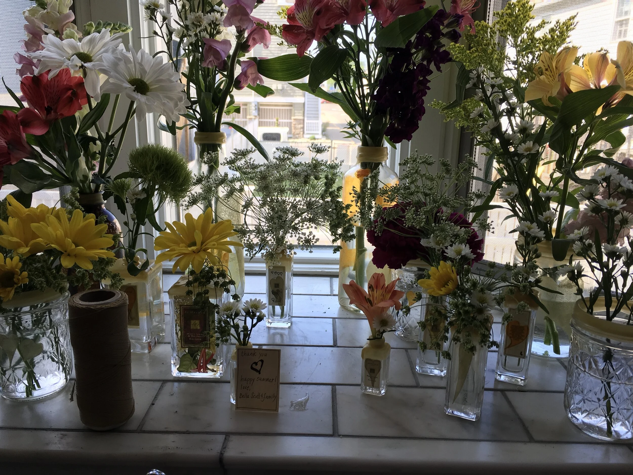 Photographs: A New Pretty