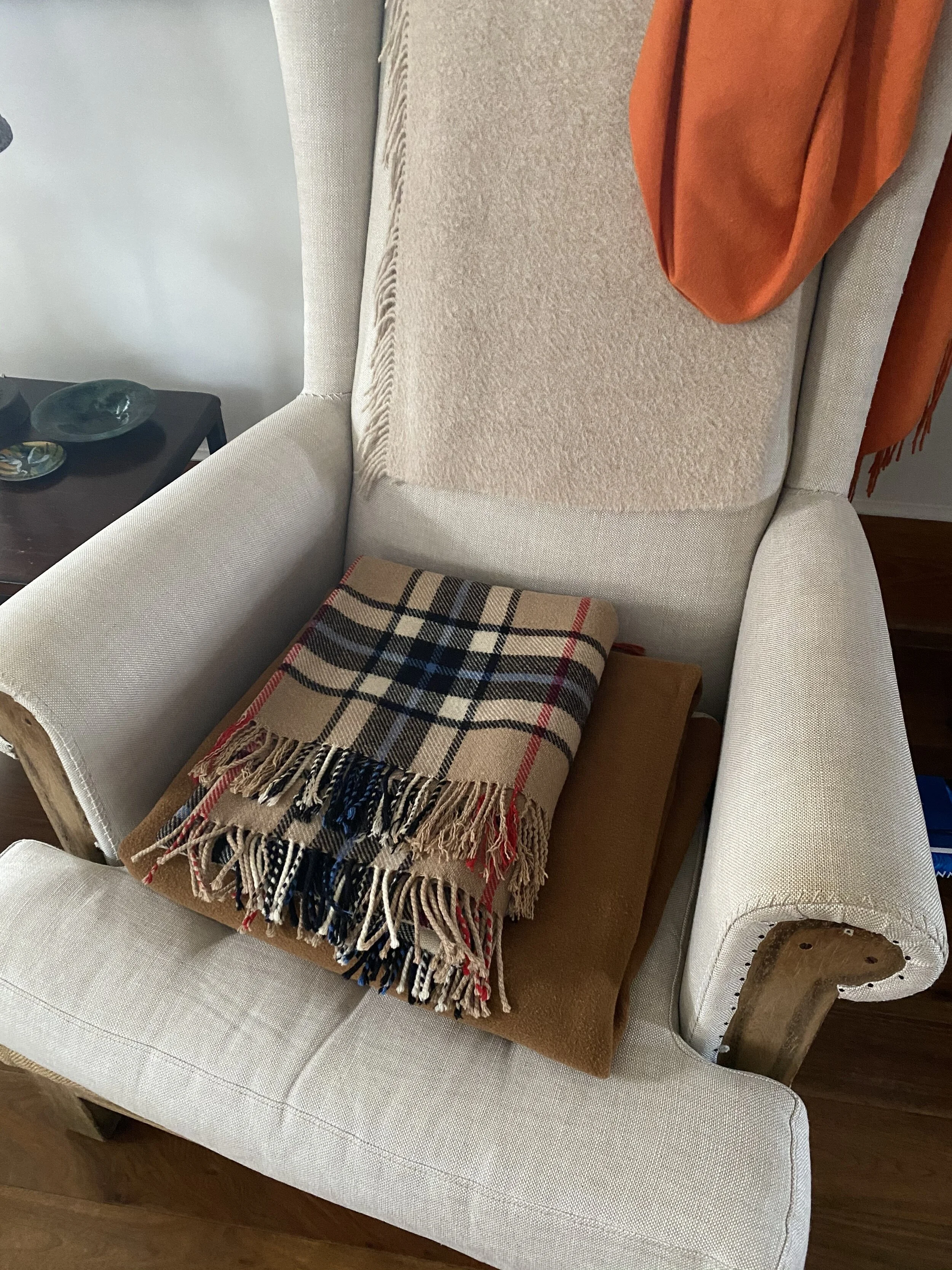 Style: The Color Camel...palette cleanser