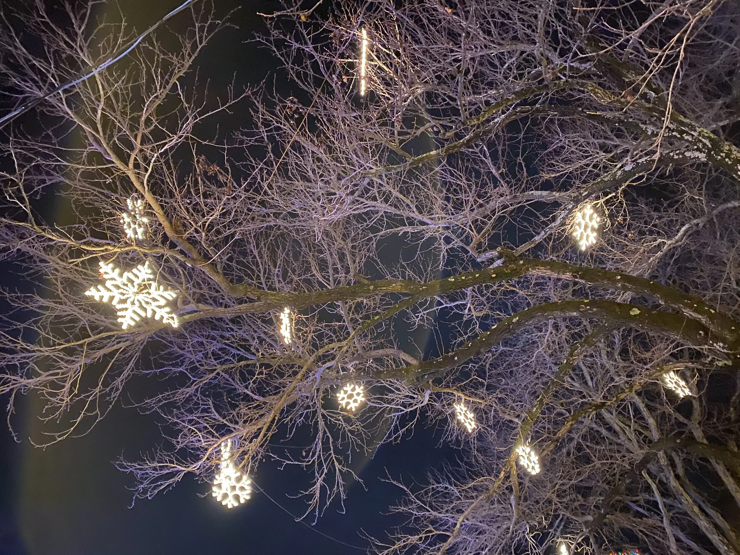 Photographs: Unexpected Joy
