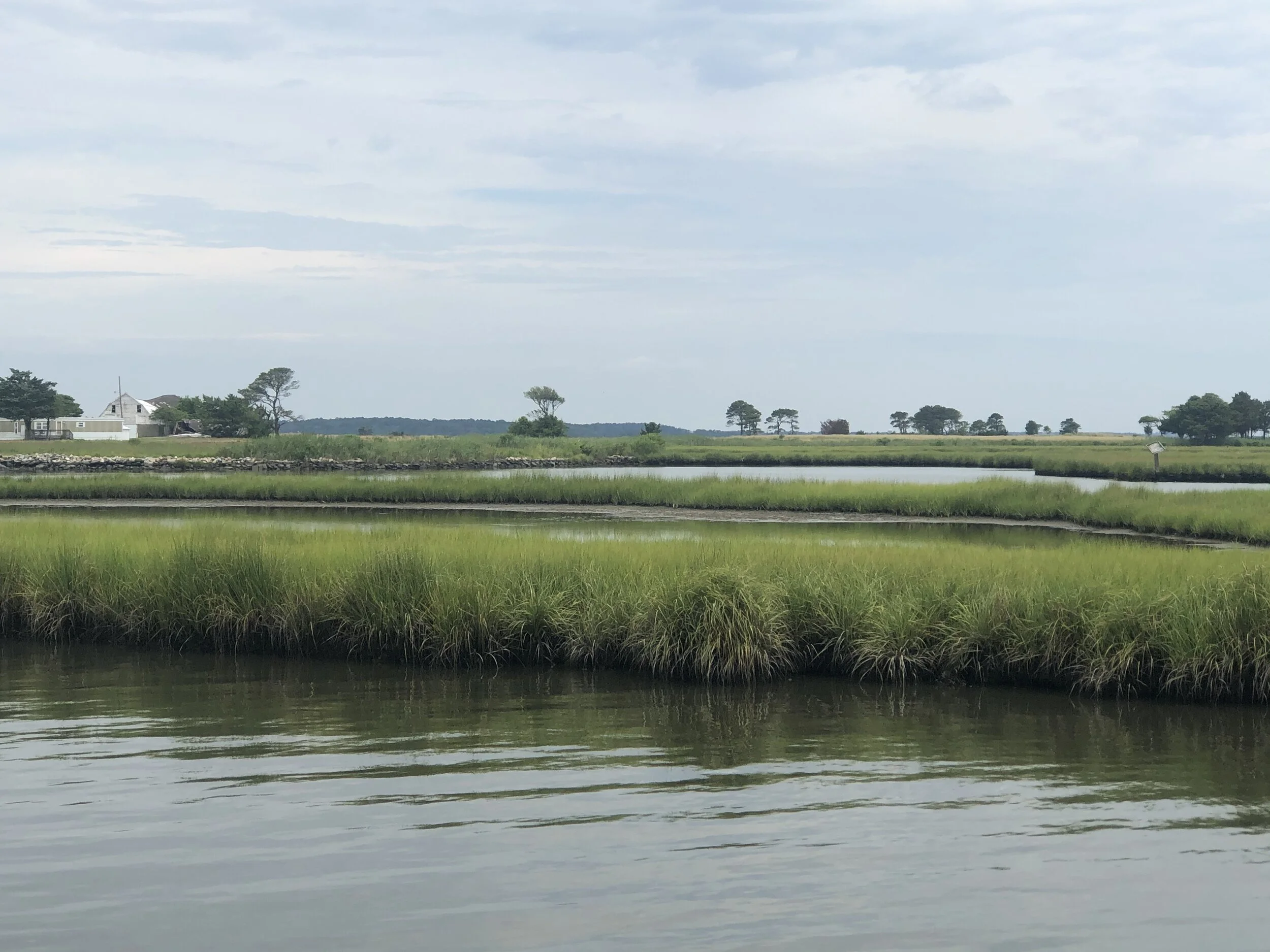 Photographs: Paddle Boarding