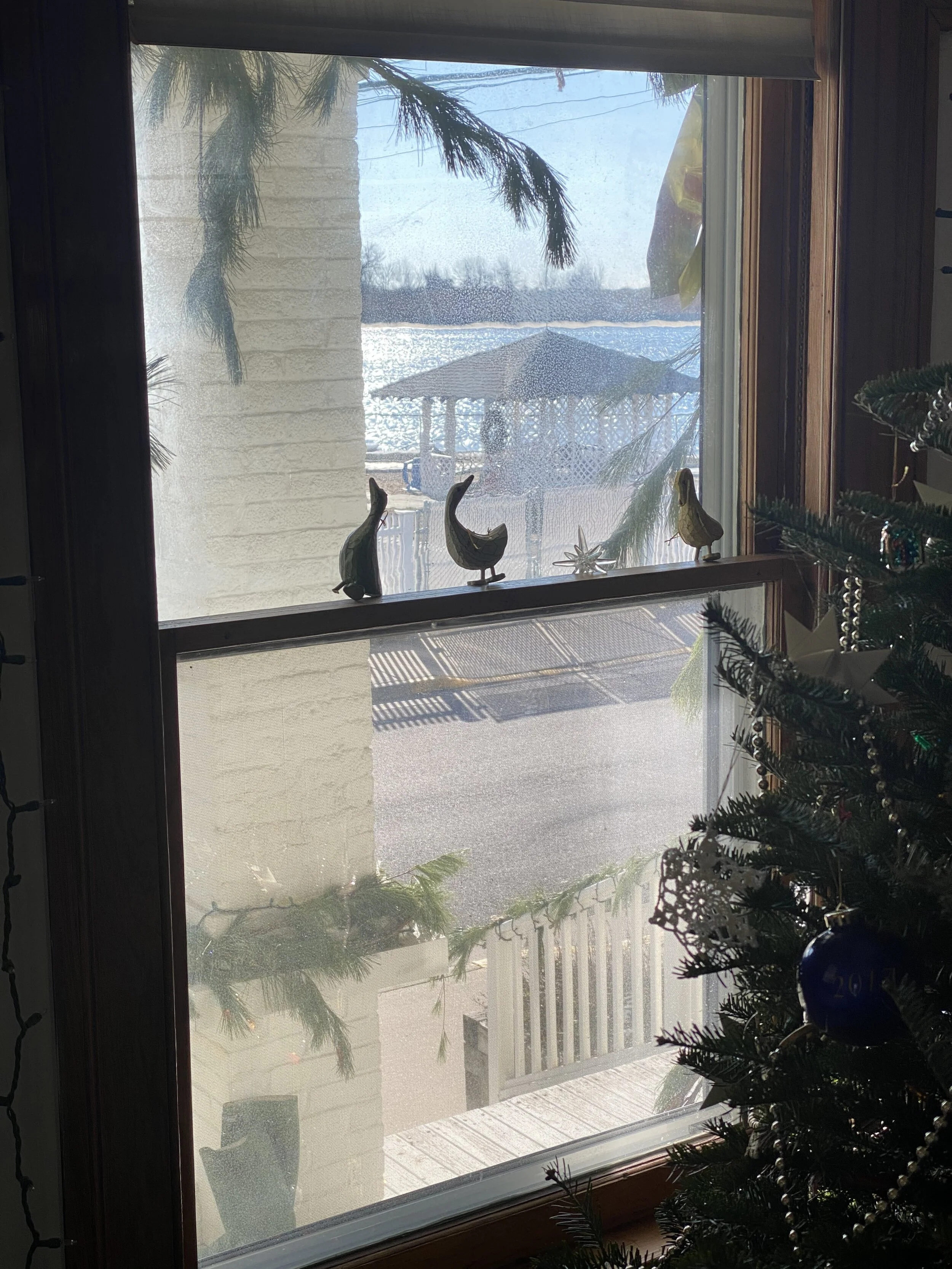 Photographs: Design Traditions for Christmas