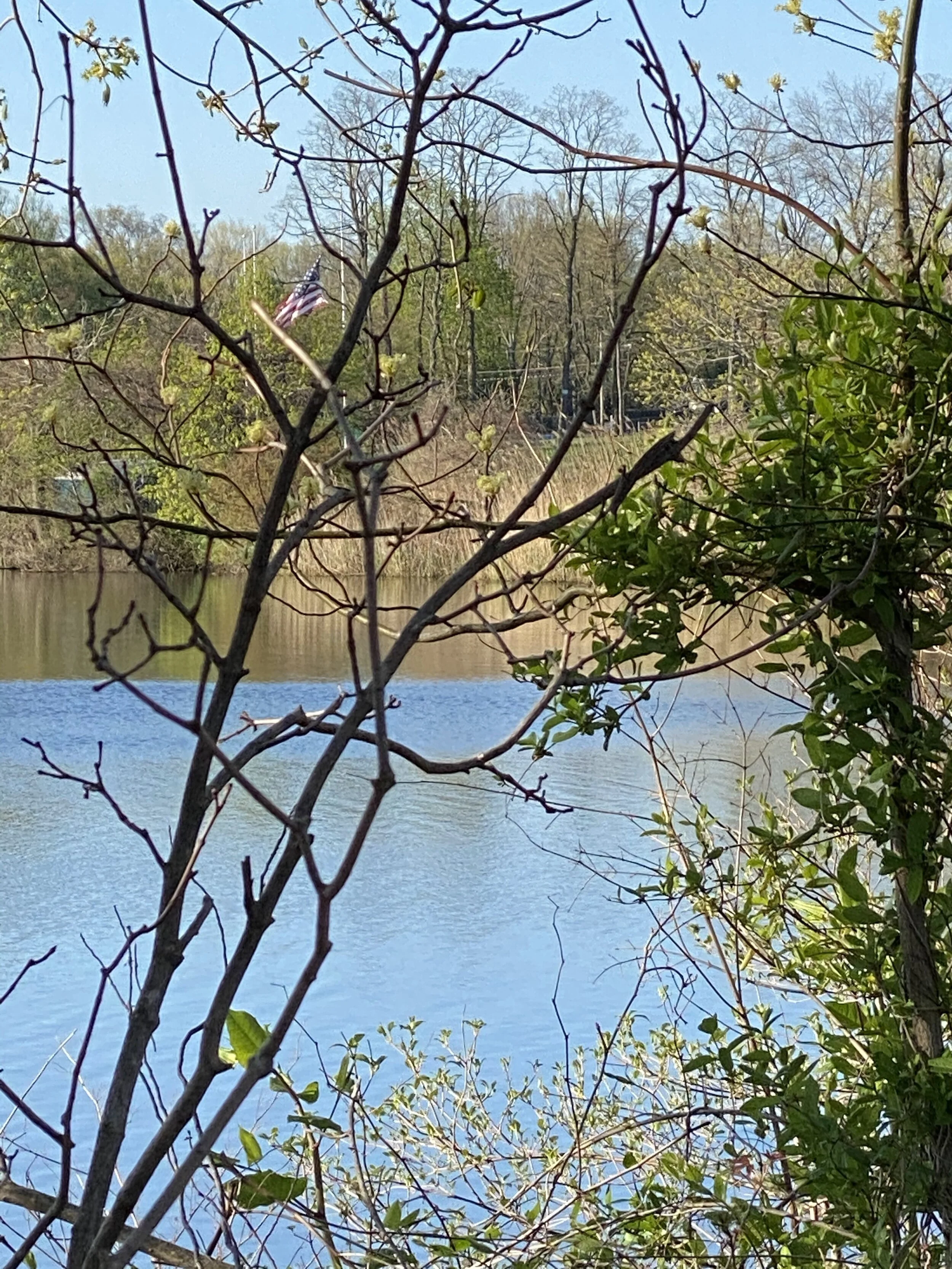 Photographs: Earth Day