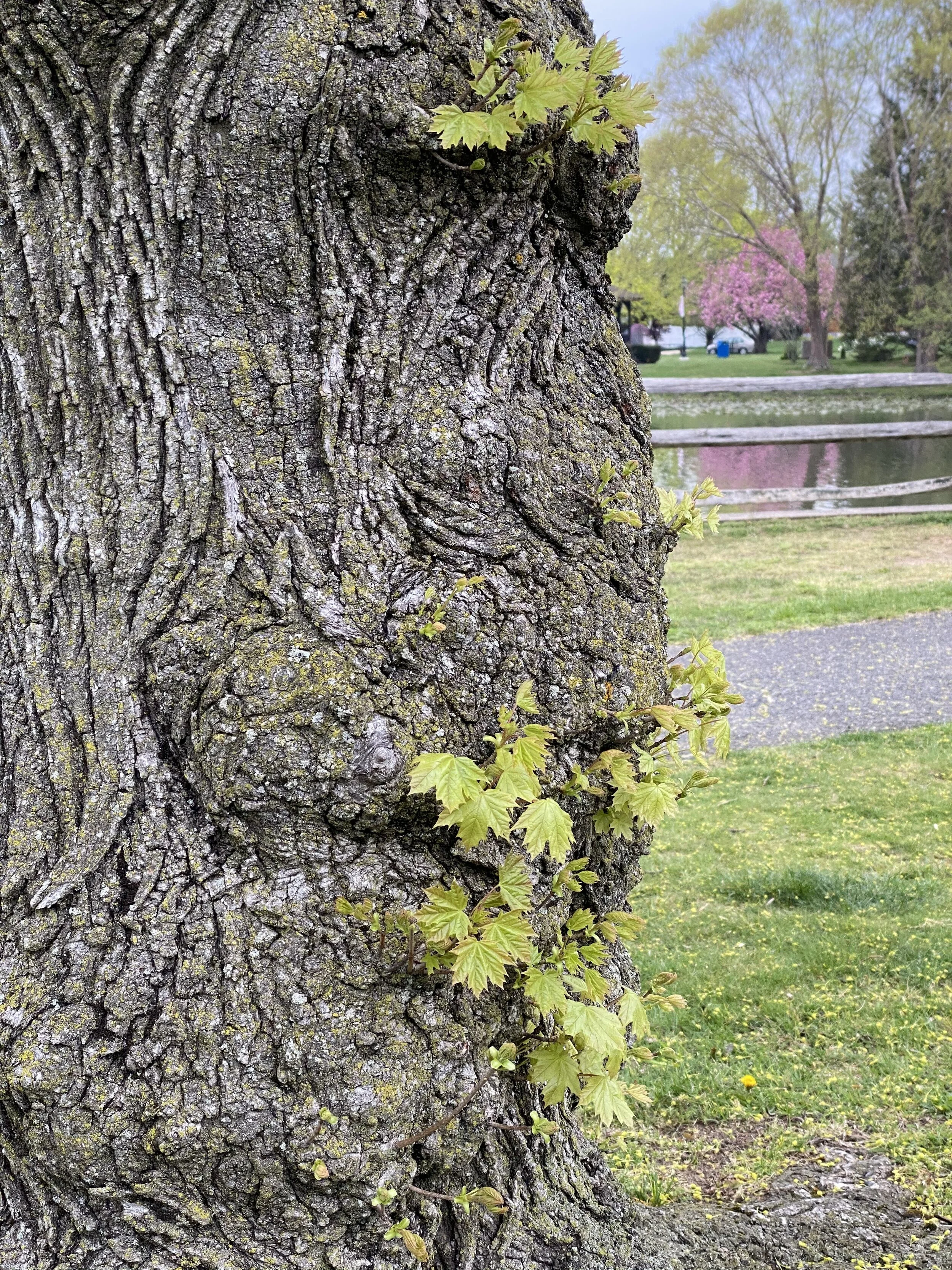 Photographs: Perfectly Imperfect