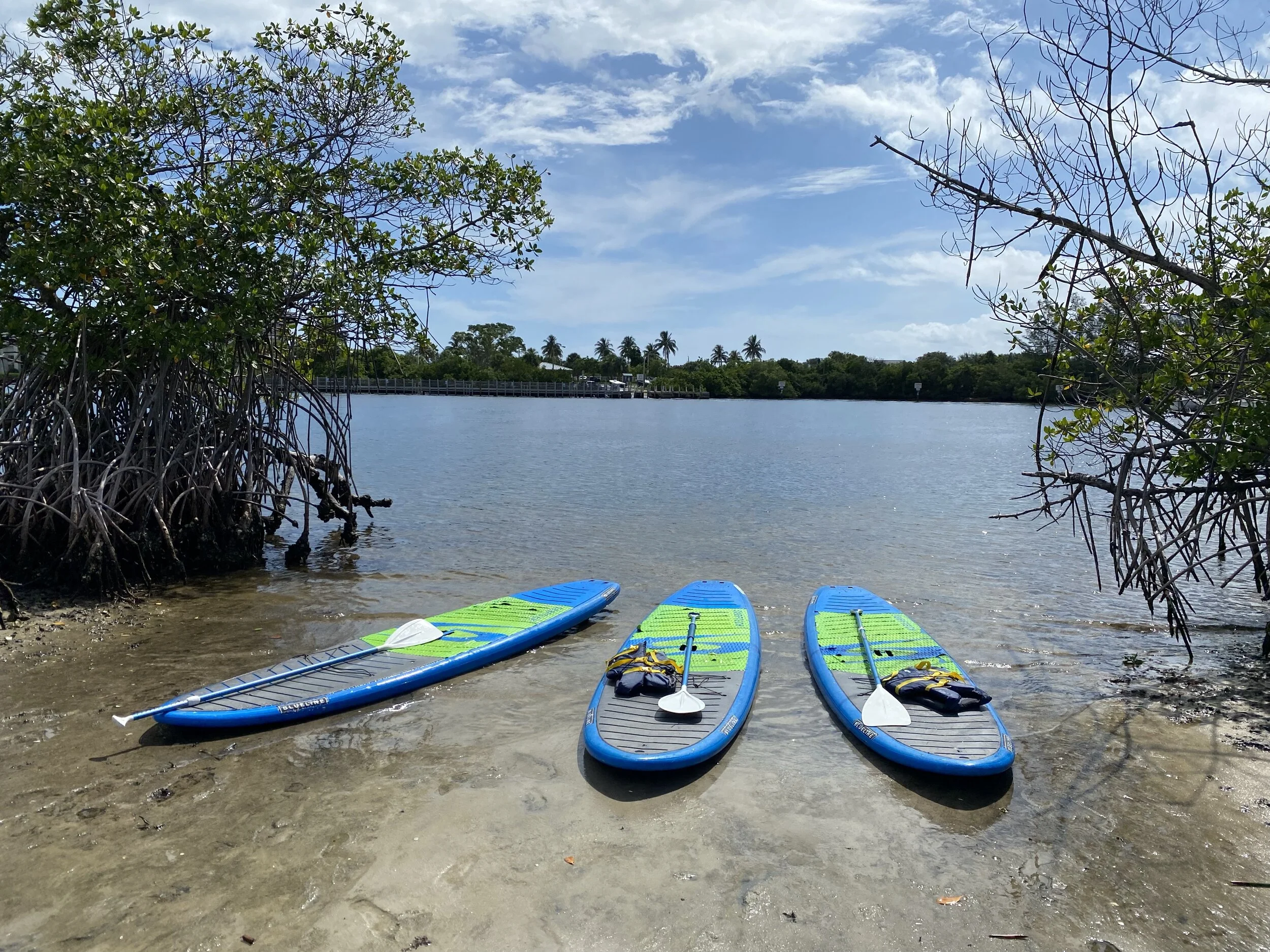 Photographs: A Bit Of Tropical Paradise