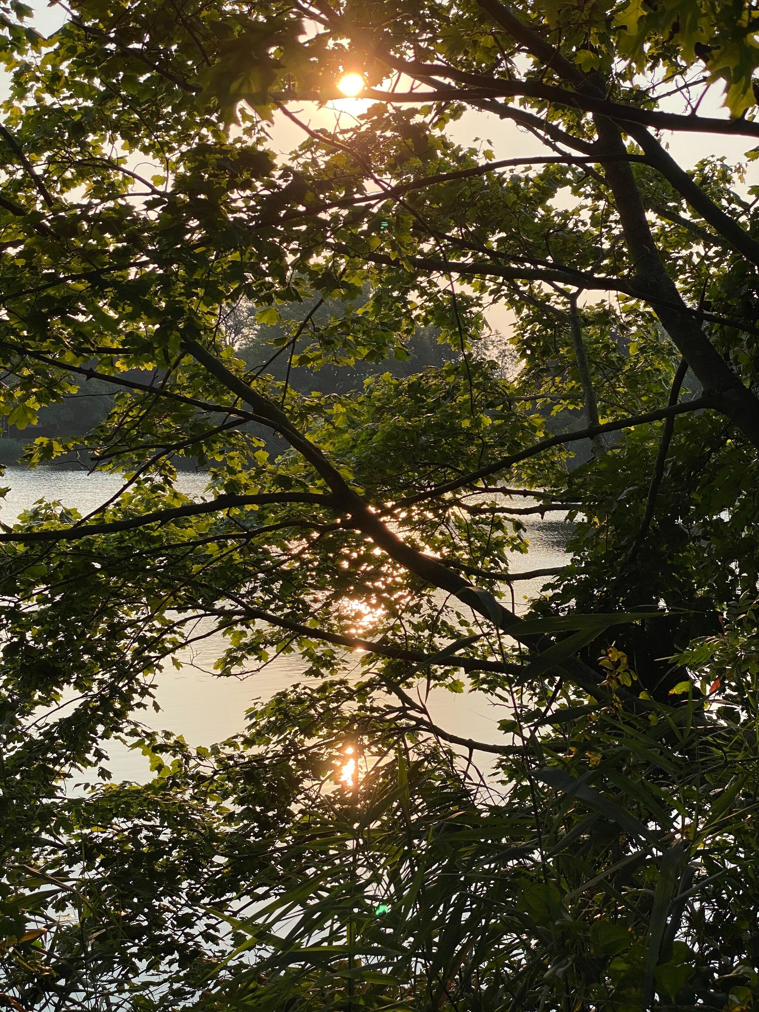 Photographs: Golden Light