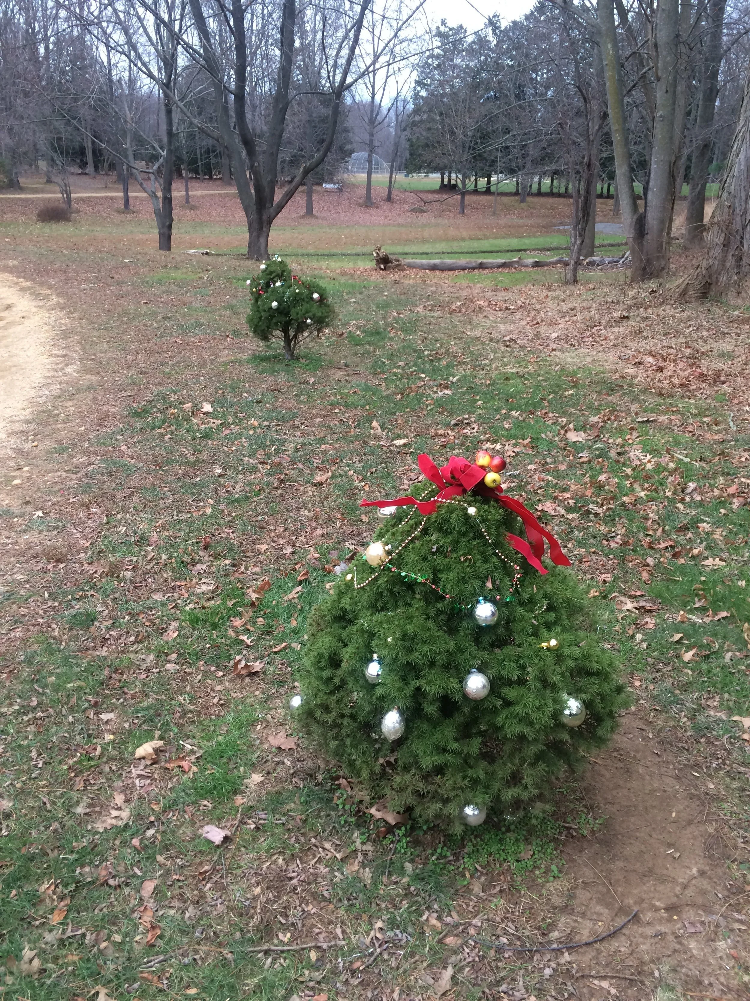 Holiday Magic