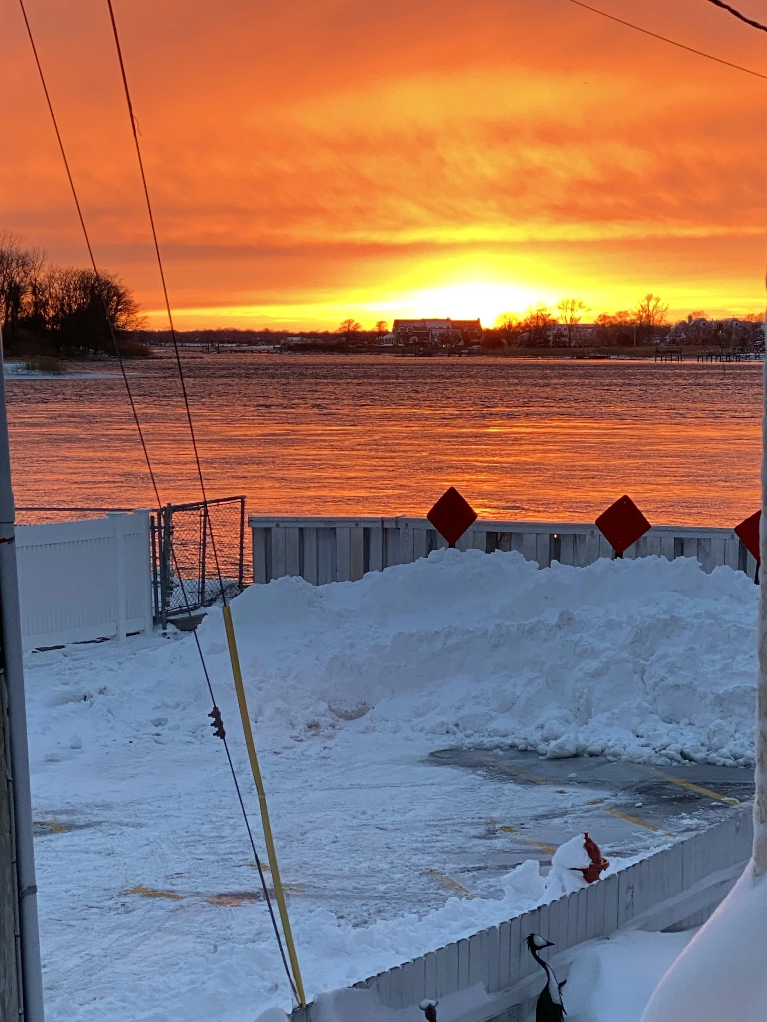 Photographs: Snow Day